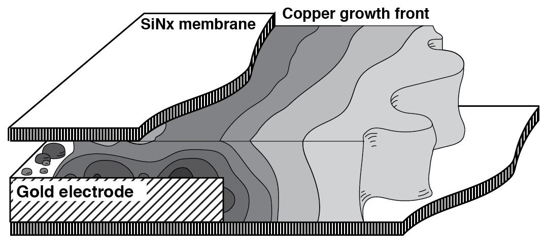 Electrodeposition in an Electron-Microscopy Liquid Cell