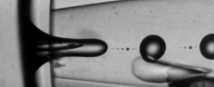 An ellipsoidal polystyrene particle (minor diameter is 100 microns) is encapsulated by water surrounded by a continuous phase of oil using a glass-capillary flow focusing device. Video was captured at ~10,000 frames a second.