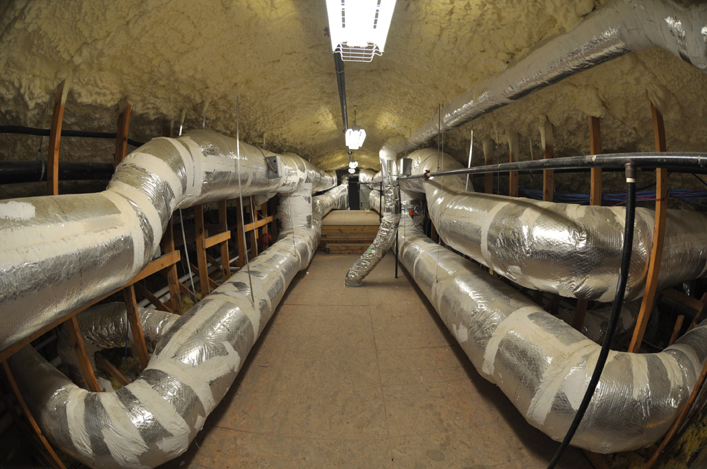 Cleanliness is paramount; don't forget the attic!