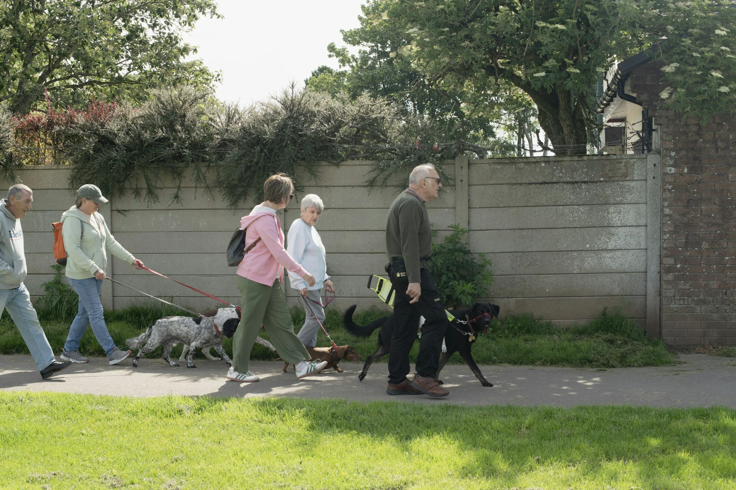National Dog Day: Pets Have the Power to Attract, Keep Residents