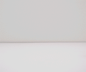 lektori.gif