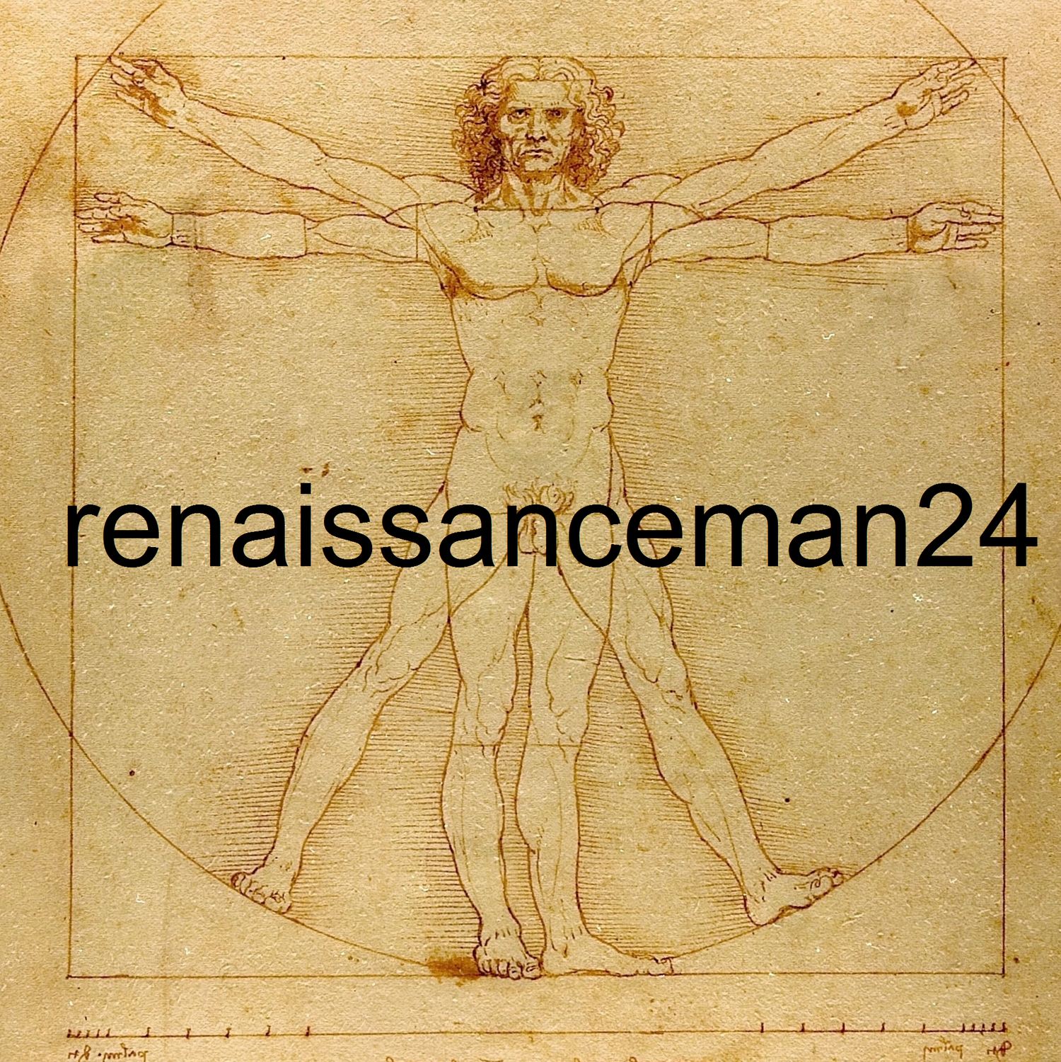 renaissanceman24
