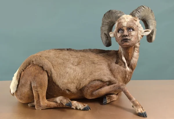 Kate Clark, Tale, 2013. Courtesy Rick Wester Fine Art