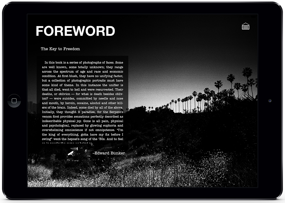 foreword mock up small.jpg