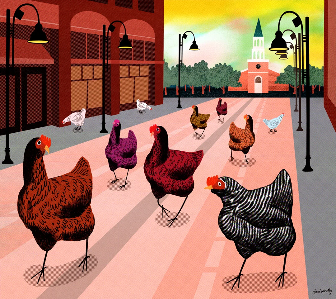 Urban Livestock