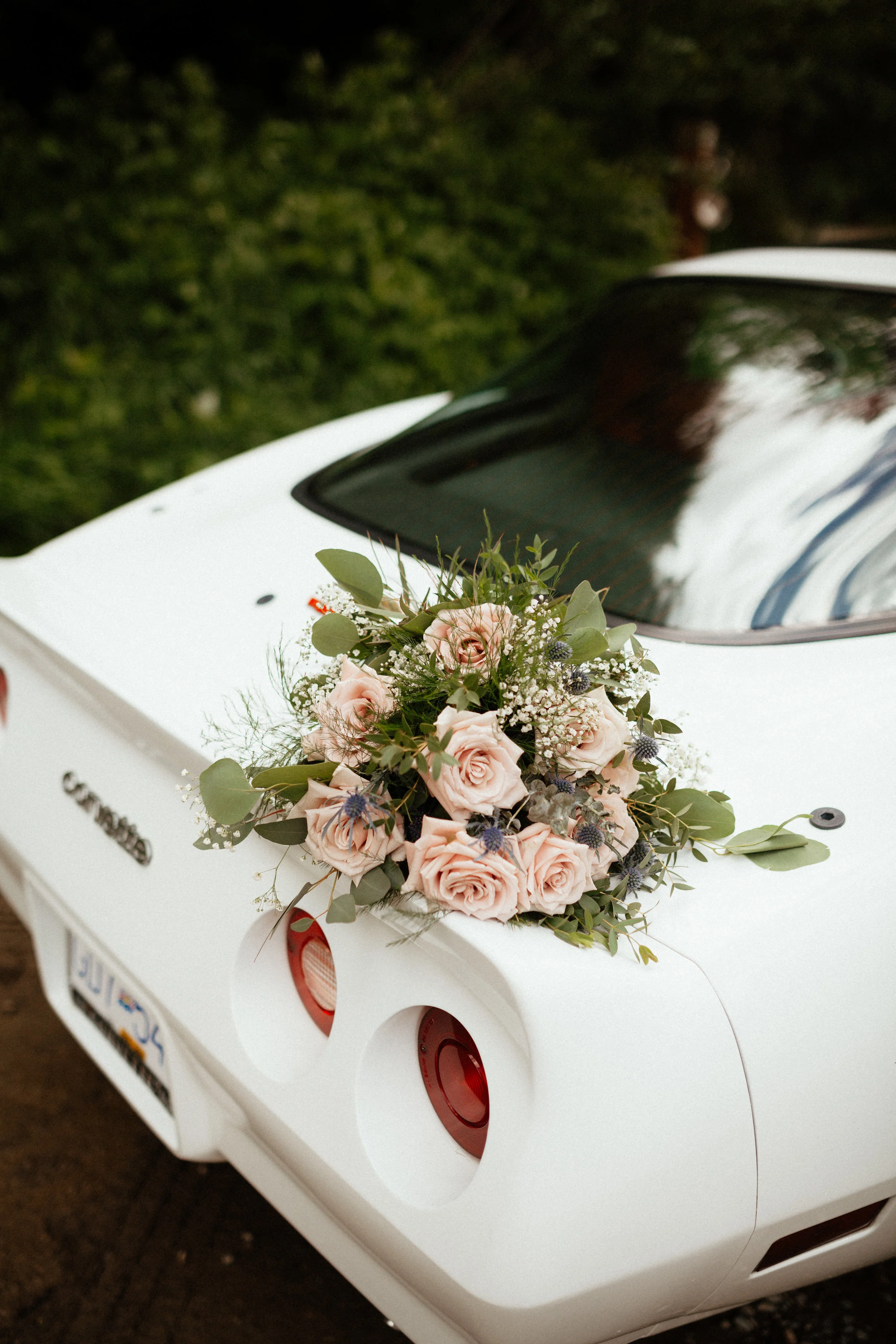 Dane + Jessica 4 - Bridal Portraits-224.jpg