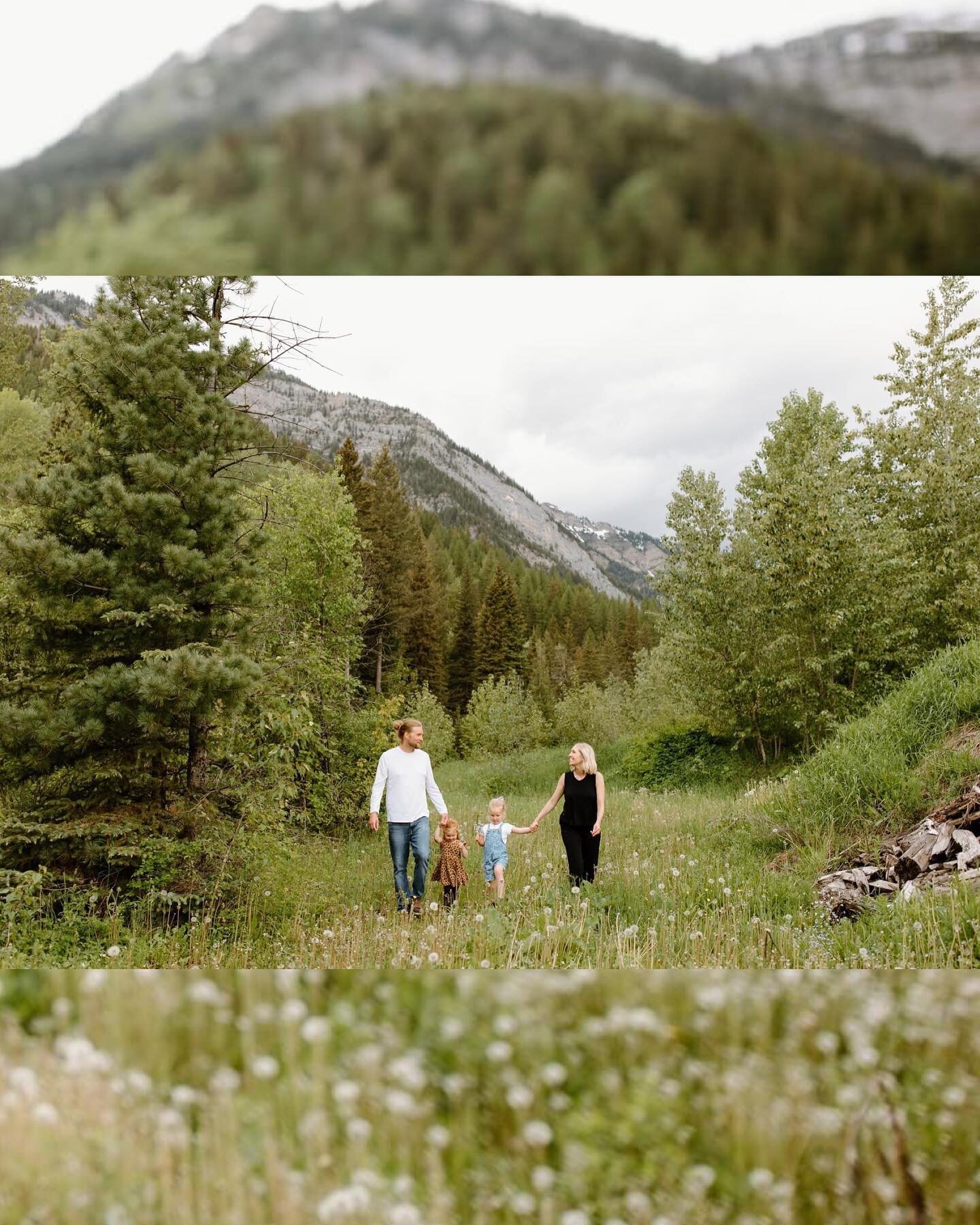 A souls refreshing session 🌱
.
.
.
#family #familysession #familyphotography #familyphotographer #bcfamilyphotographer #mountainsession #mountainviews #keepthemlittle #fernie #ferniebc #ferniephotographer #ferniefamilyphotographer #photoinspiration