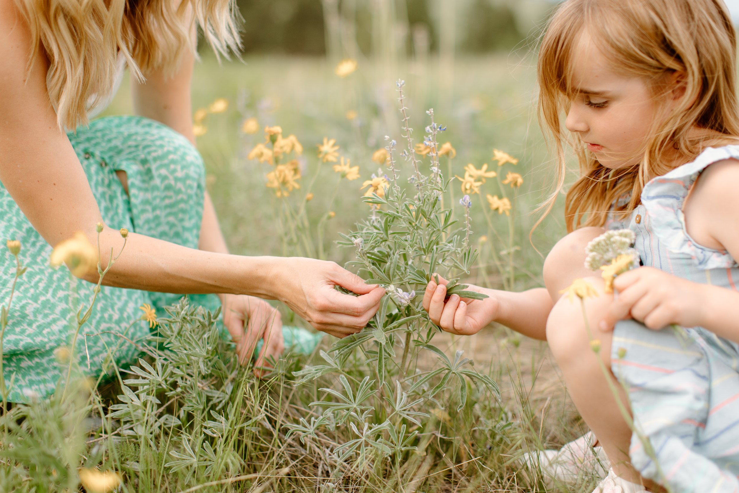 Nicoles-The-Hamiltons-Family-Maternity-Motherhood-Photography-Kimberley-BC-Cranbrook-BC-162.jpg