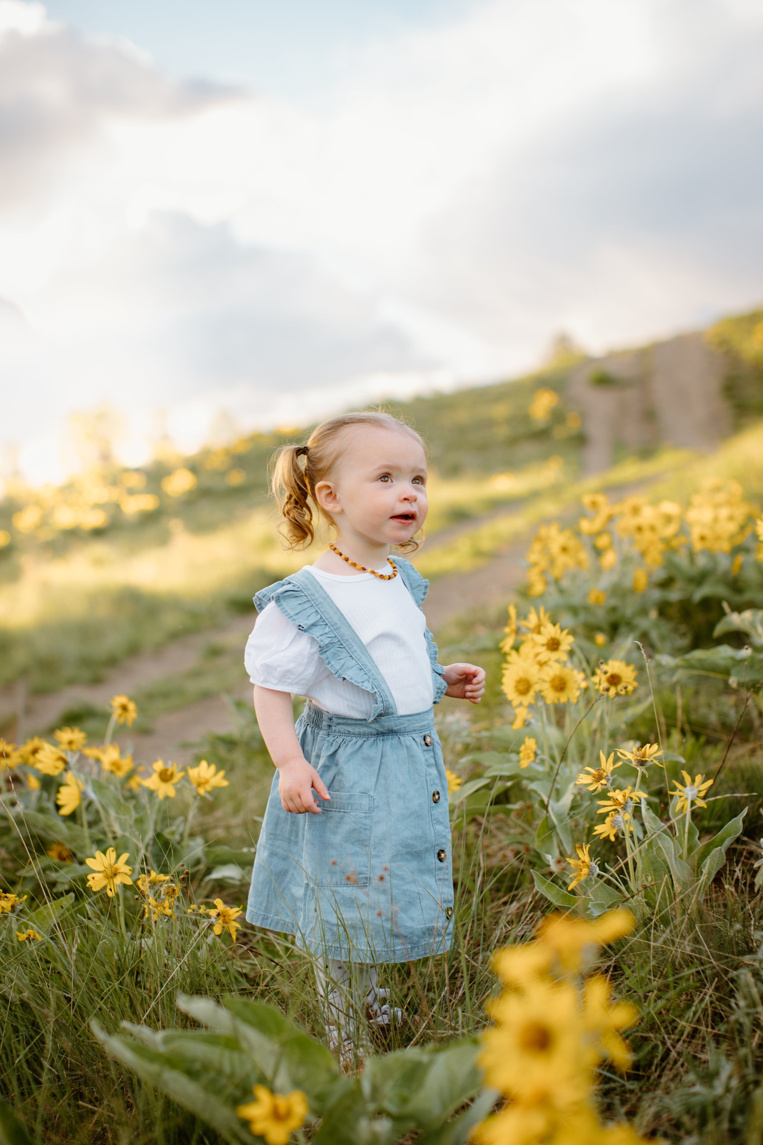 Robertson-The-Hamiltons-Family-Maternity-Motherhood-Photography-Kimberley-BC-Cranbrook-BC-188.jpg