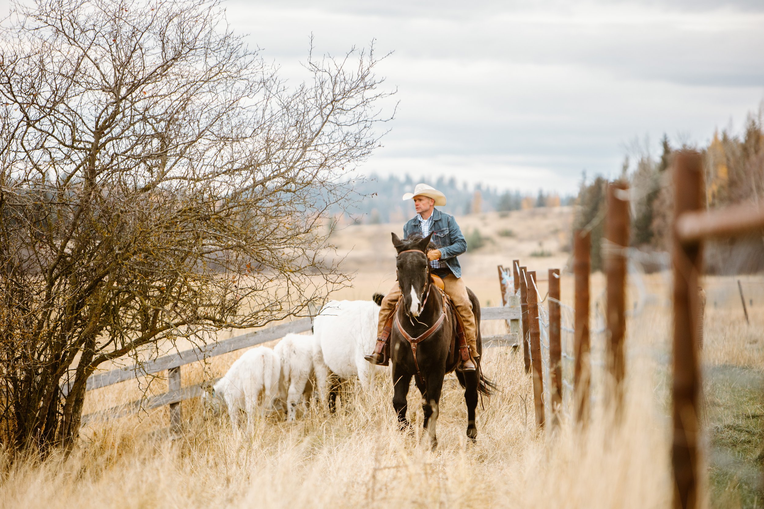 cranbrook-bc-ranch-family-session-46.jpg