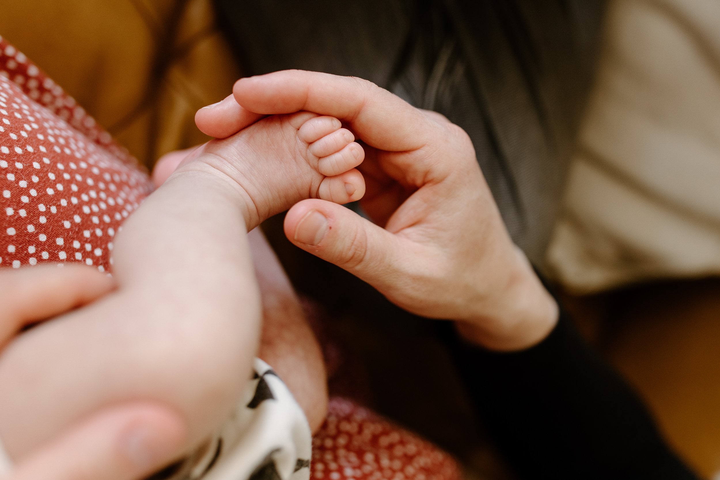 Kimberley-bc-at-home-newborn-session-M-7.jpg