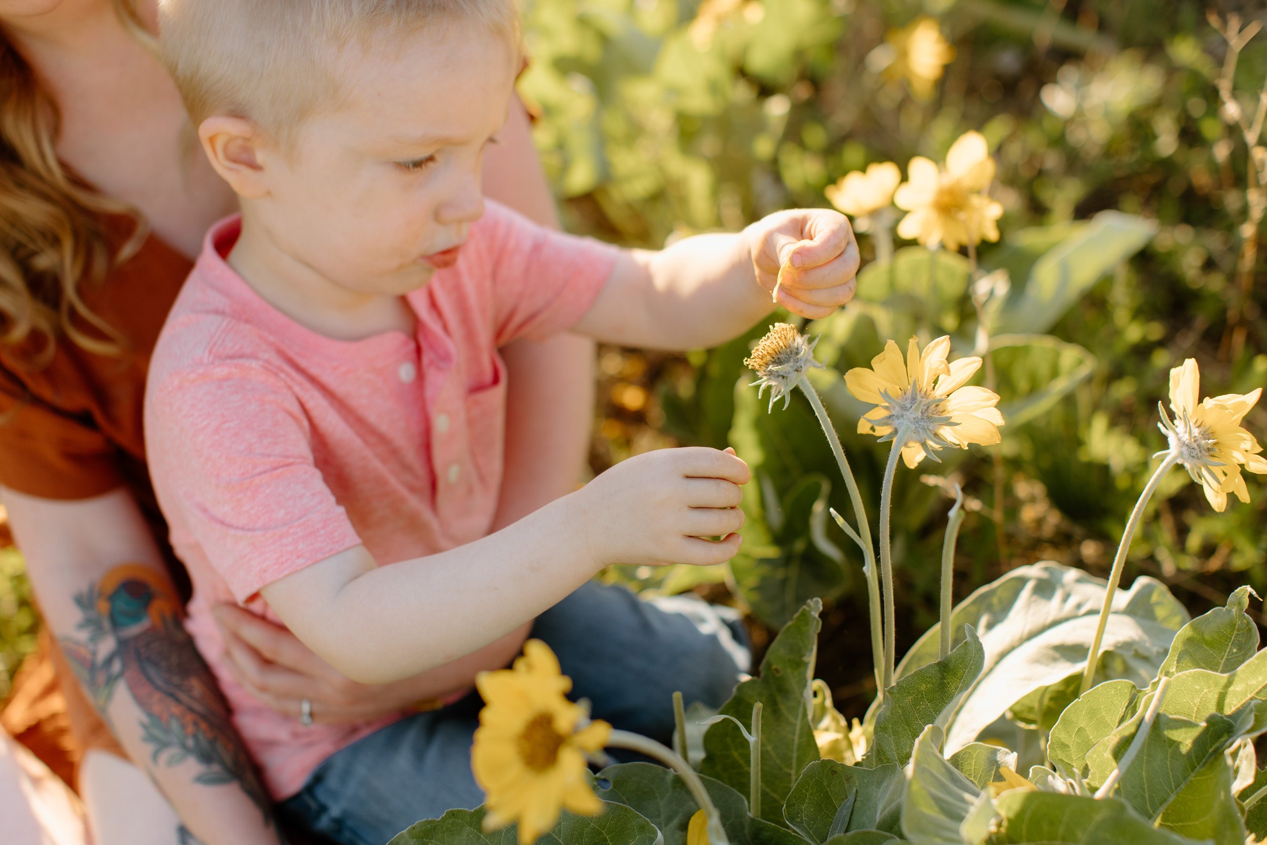 kimberley-bc-spring-wildflower-motherhood-mini-session-k-2.jpg