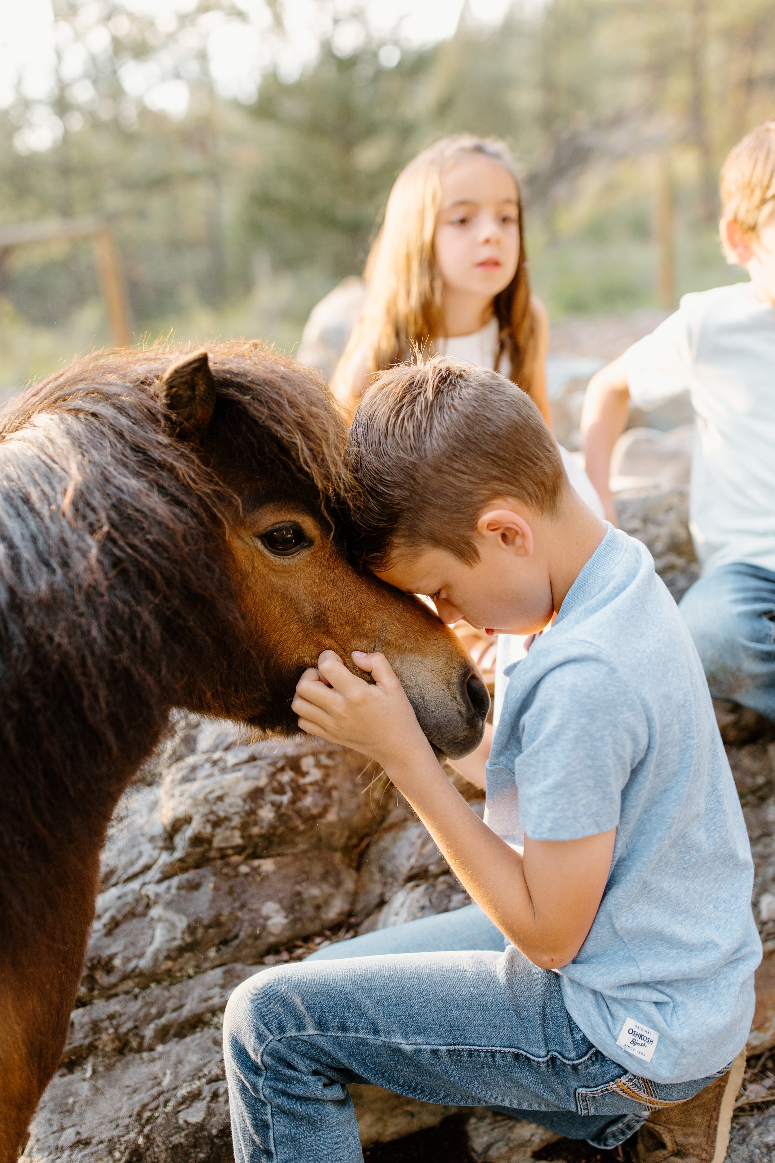 cranbrook-bc-family-session-H-24.jpg