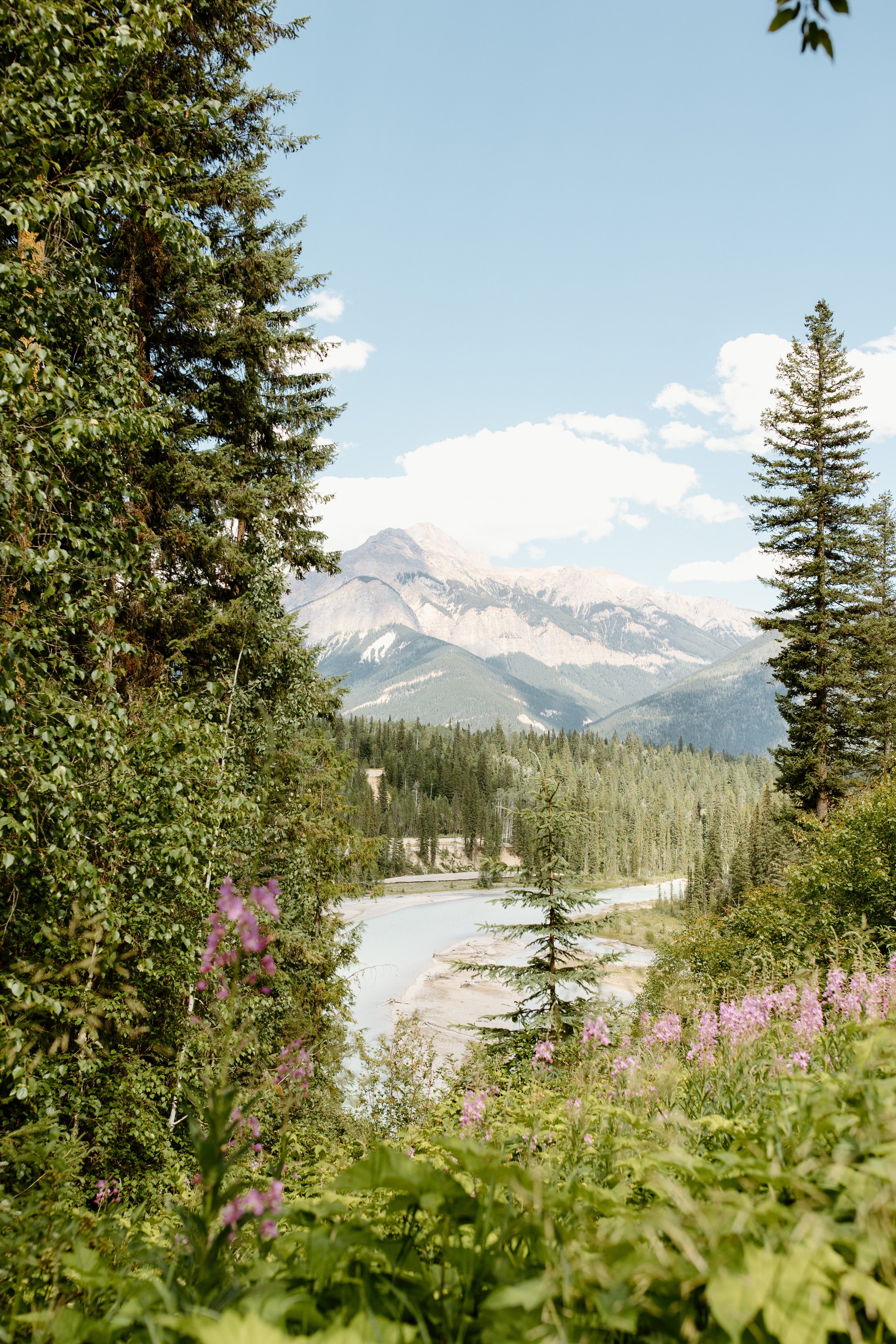 hillside-lodge-golden-bc-wedding-R-4.jpg