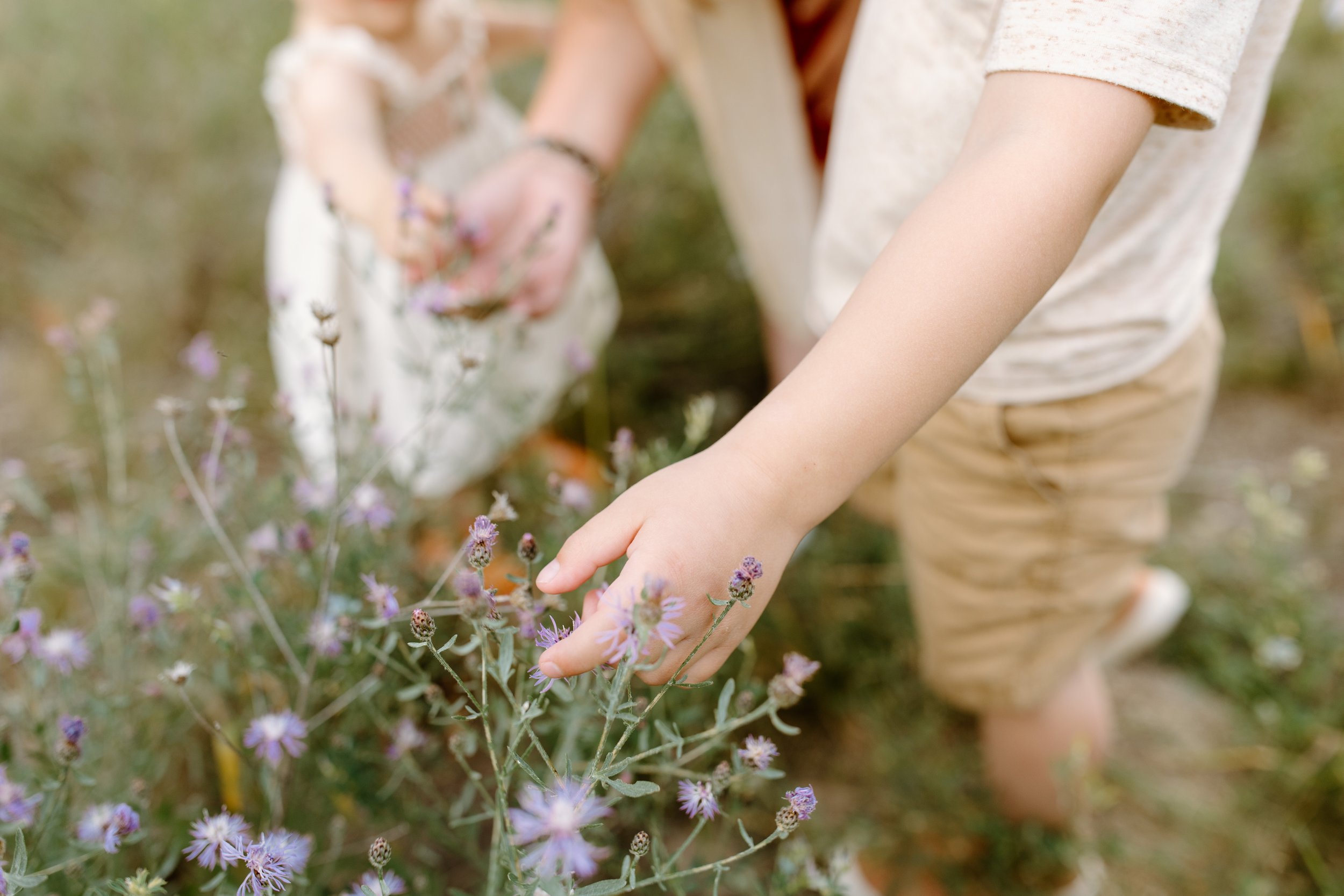 invermere-bc-maternity-photographer-3.jpg