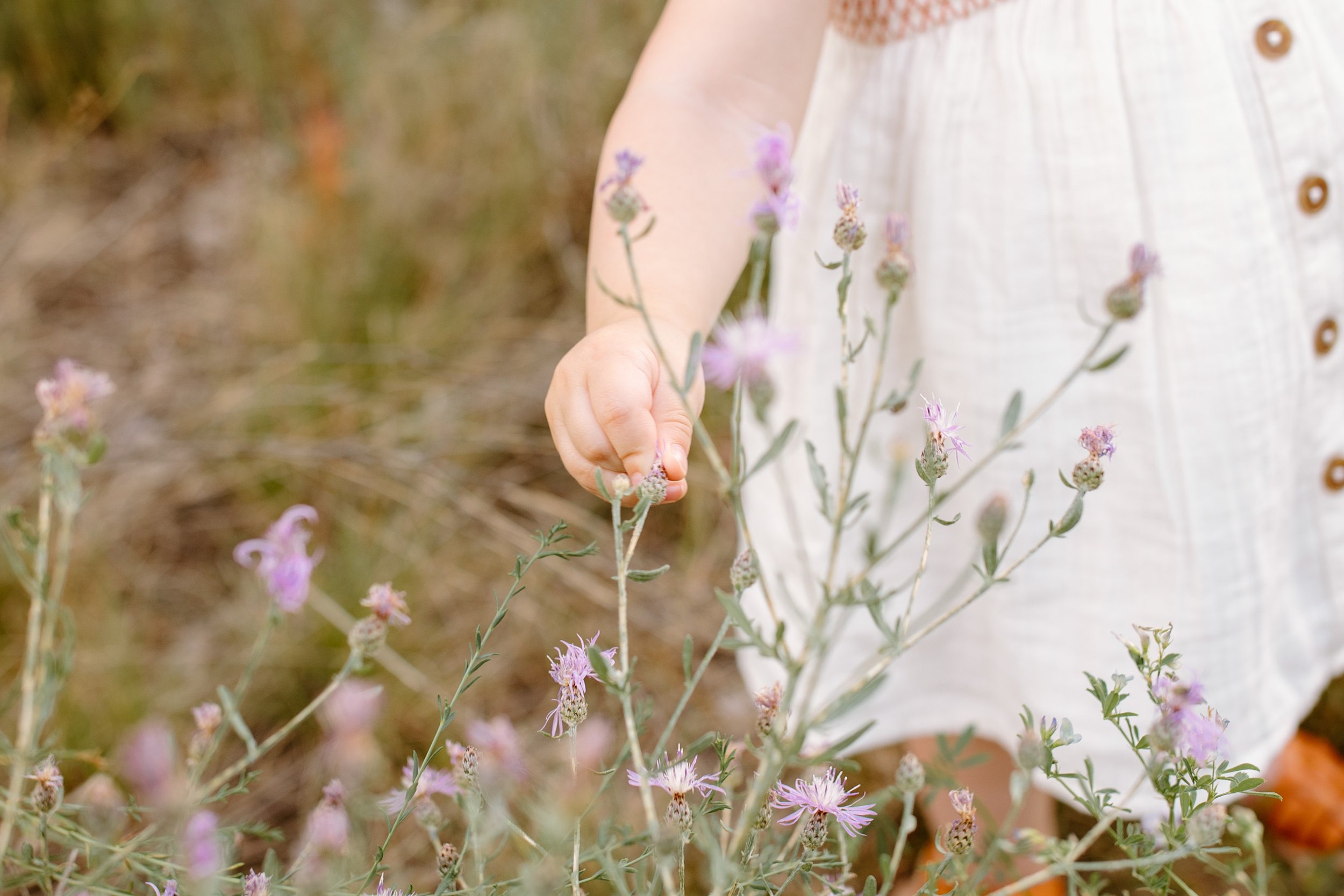 invermere-bc-maternity-photographer-6.jpg