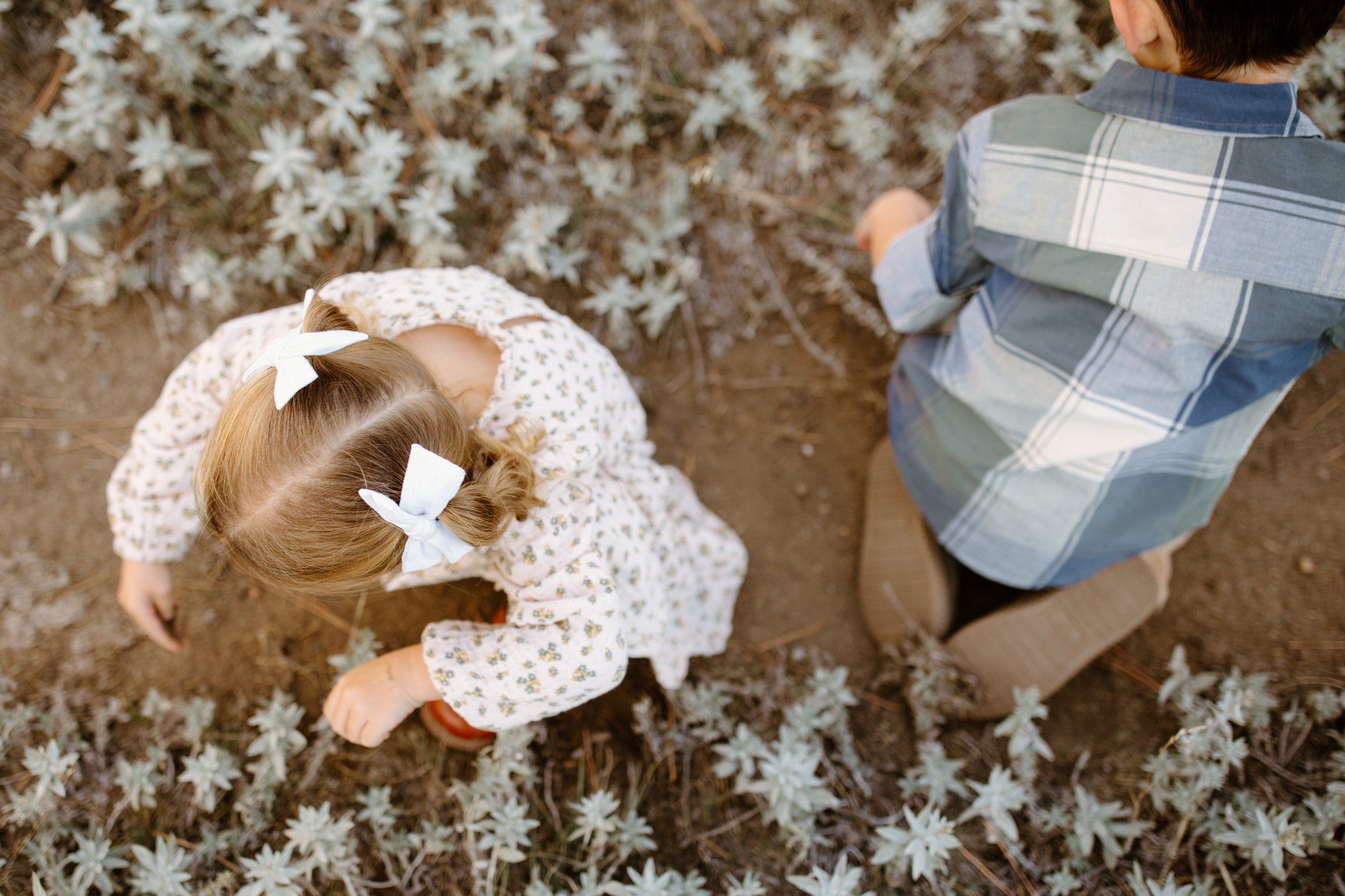 kimberley-cranbrook-bc-family-photographer-74.jpg