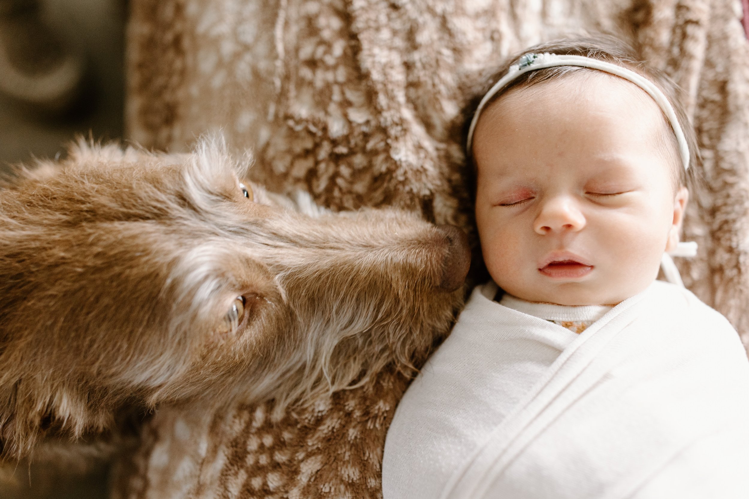 kimberley-cranbrook-bc-newborn-photographer-18.jpg