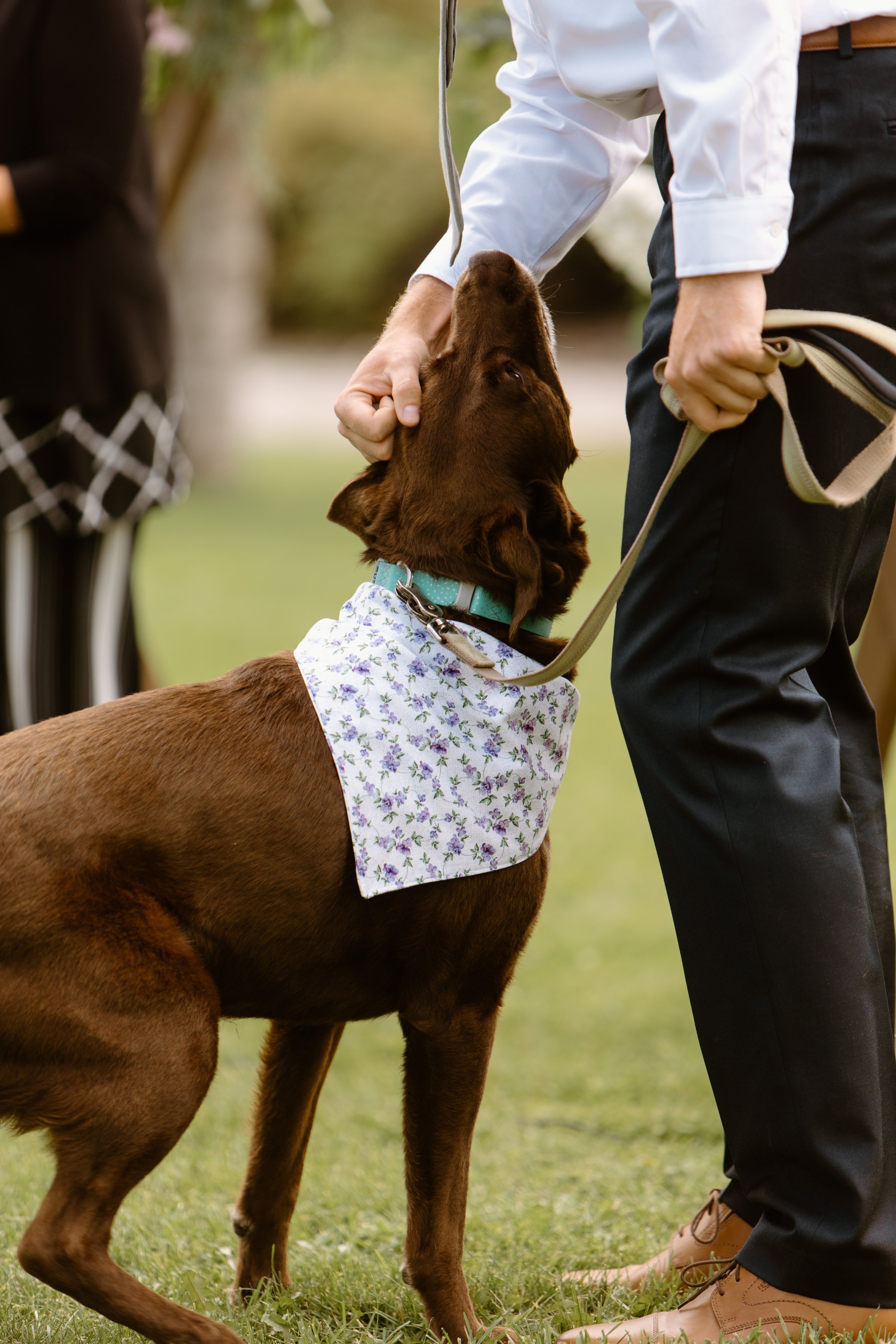 upper-ranch-wedding-photographer-73.jpg