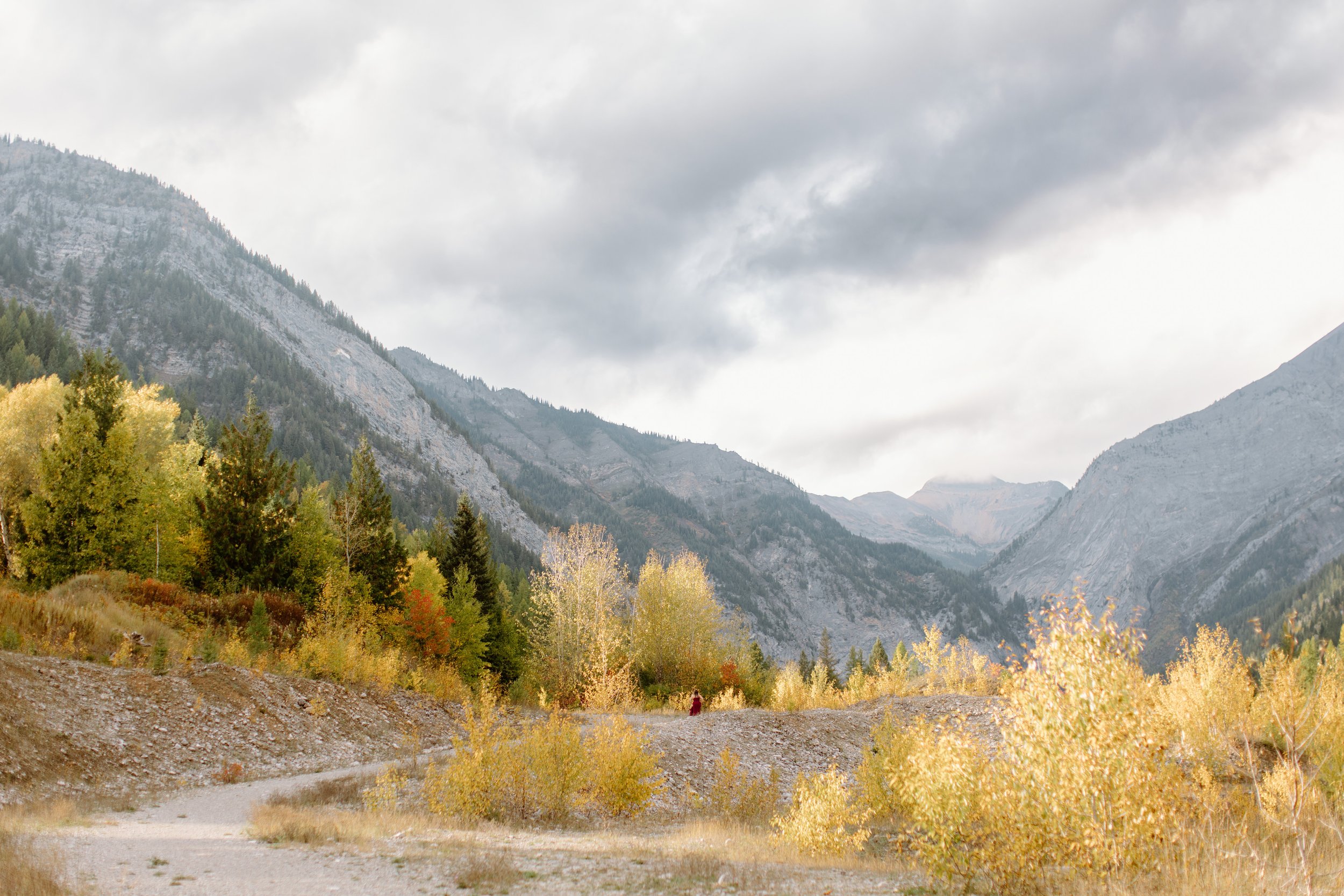 lizard-creek-lodge-fernie-bc-wedding-photographer-83.jpg