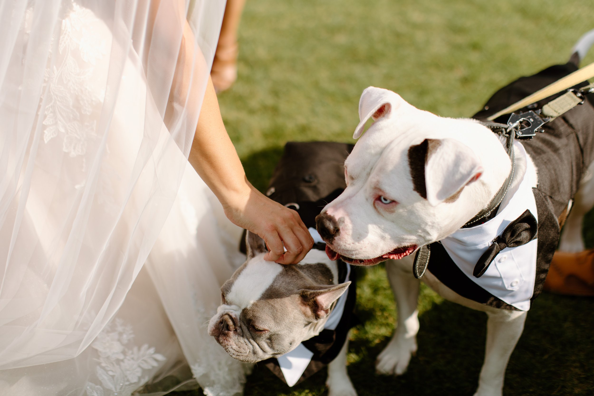 brady-creek-ranch-invermere-bc-wedding-photographer-74.jpg