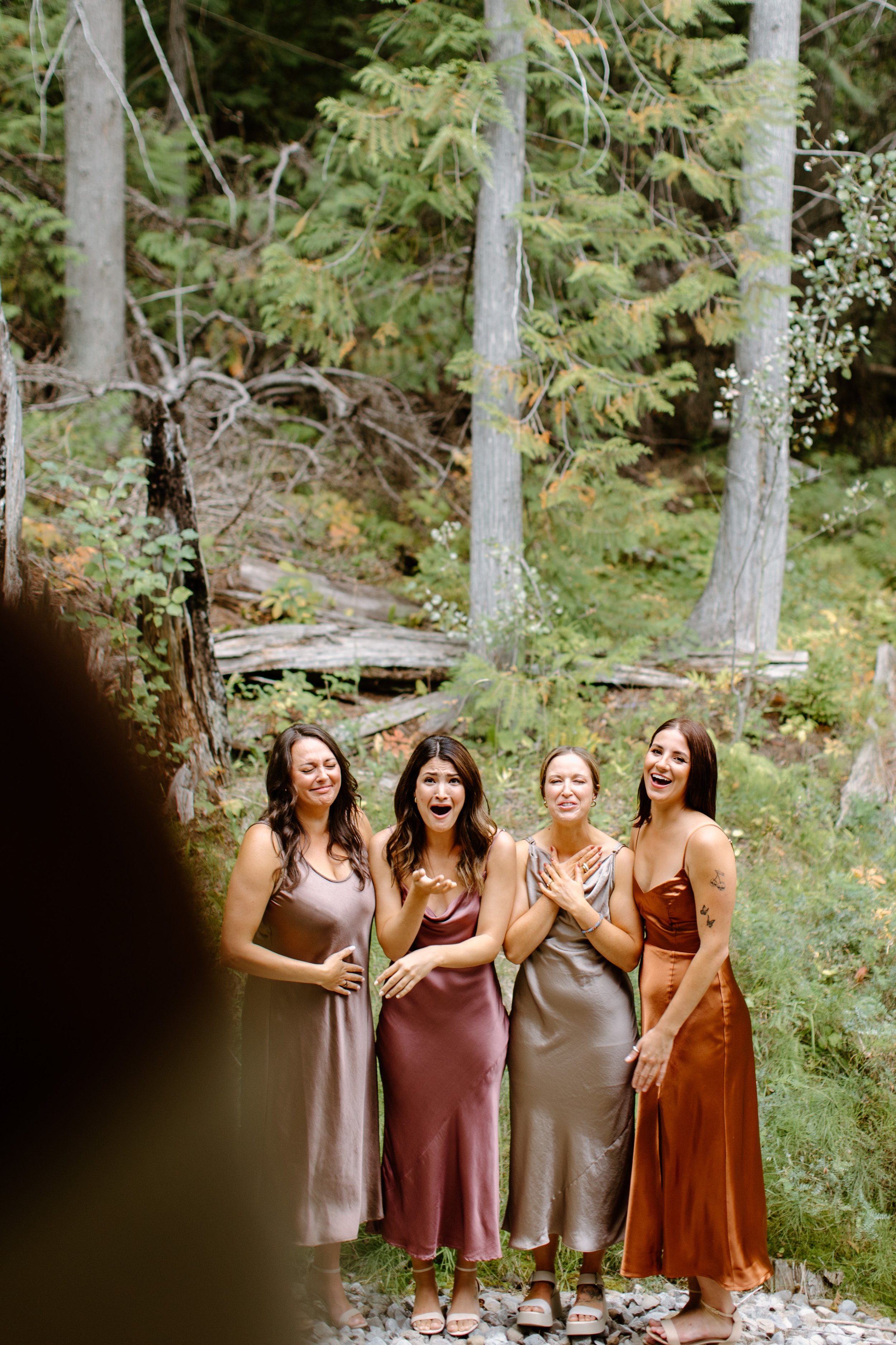 fernie-alpine-lodge-wedding-photographer-12.jpg