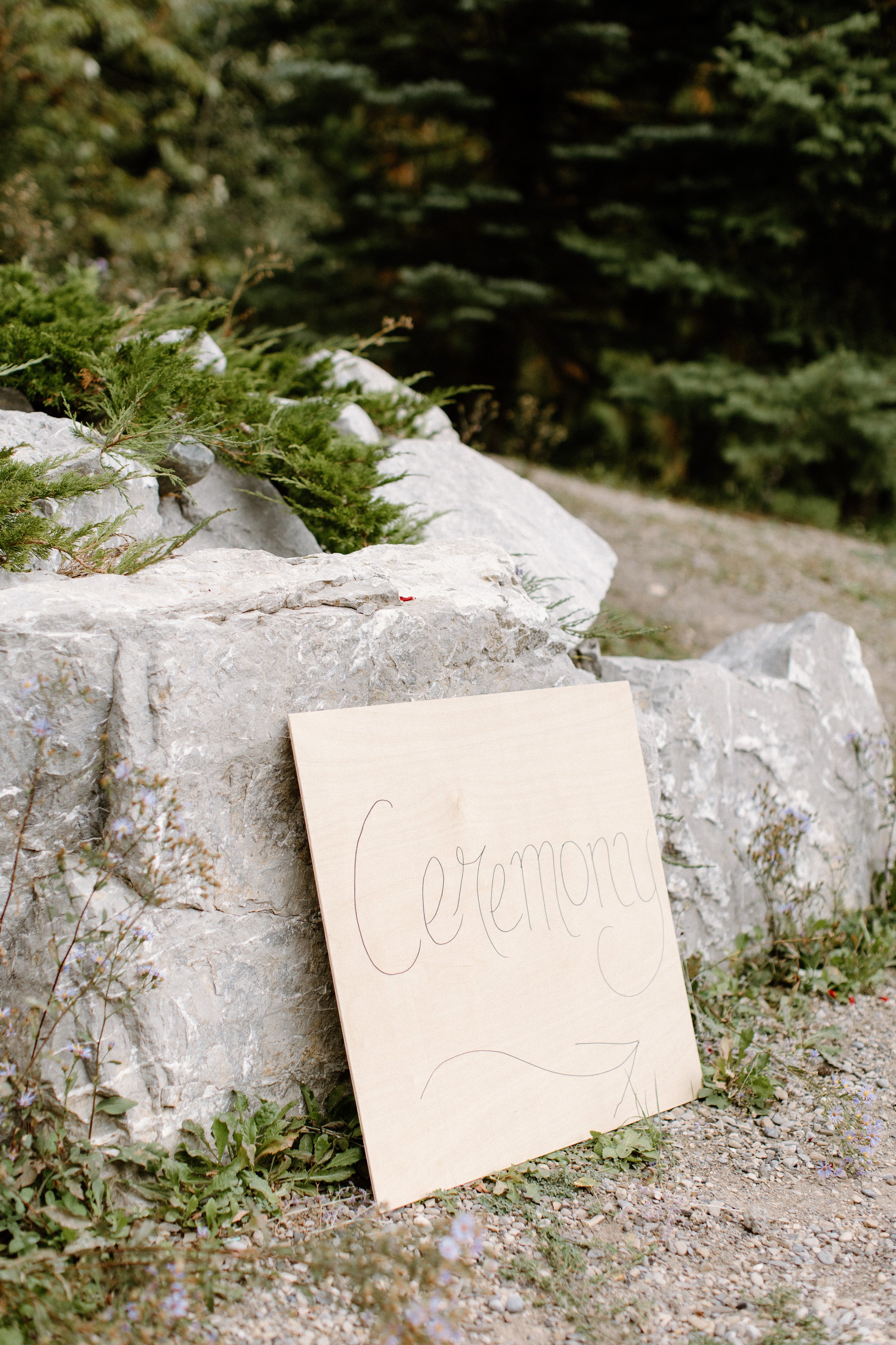 fernie-alpine-lodge-wedding-photographer-62.jpg