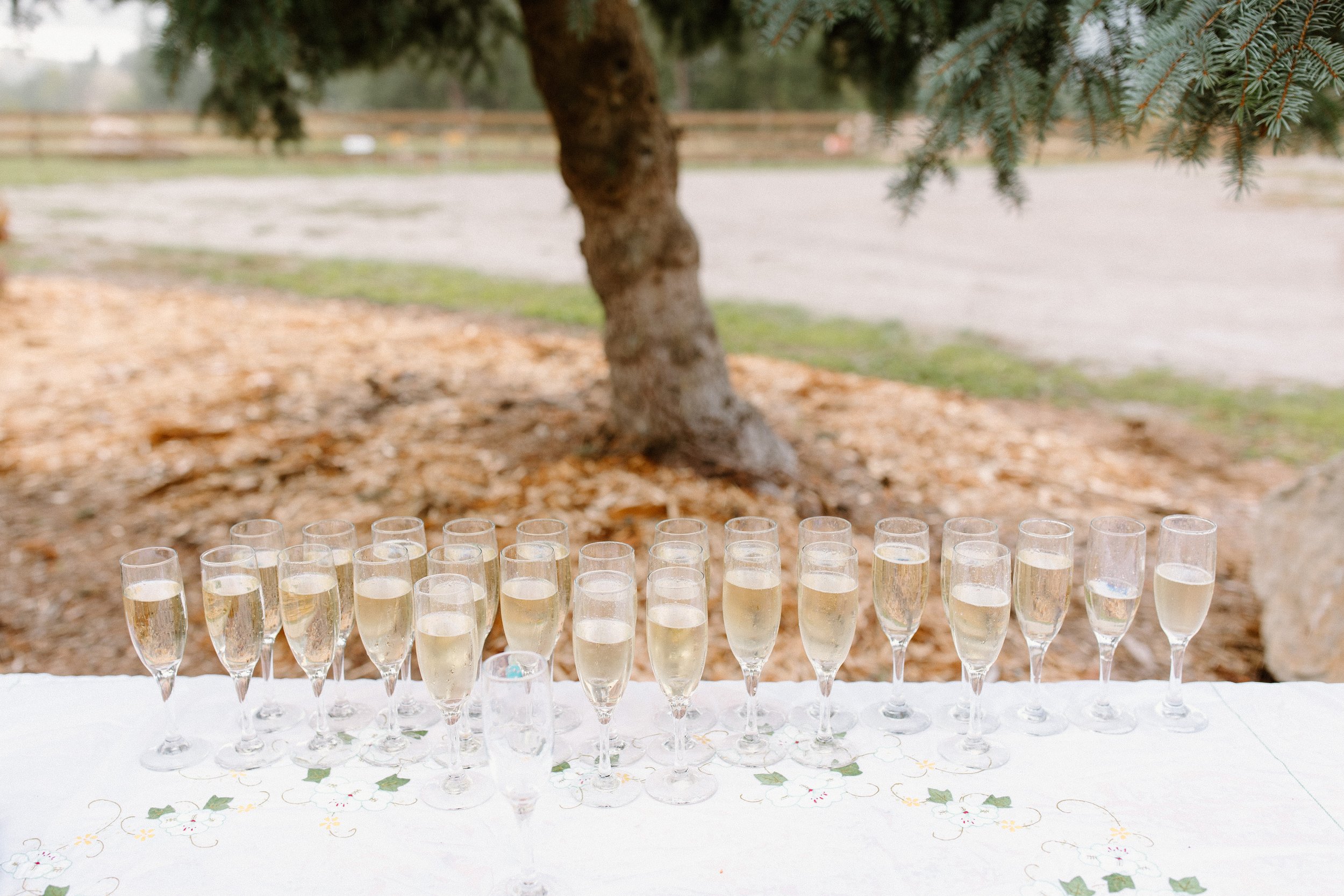 sarah_Geoff_The_Hamiltons_Photo_and_Film_Invermere_BC_KimberleyBC_Photographers-140.jpg