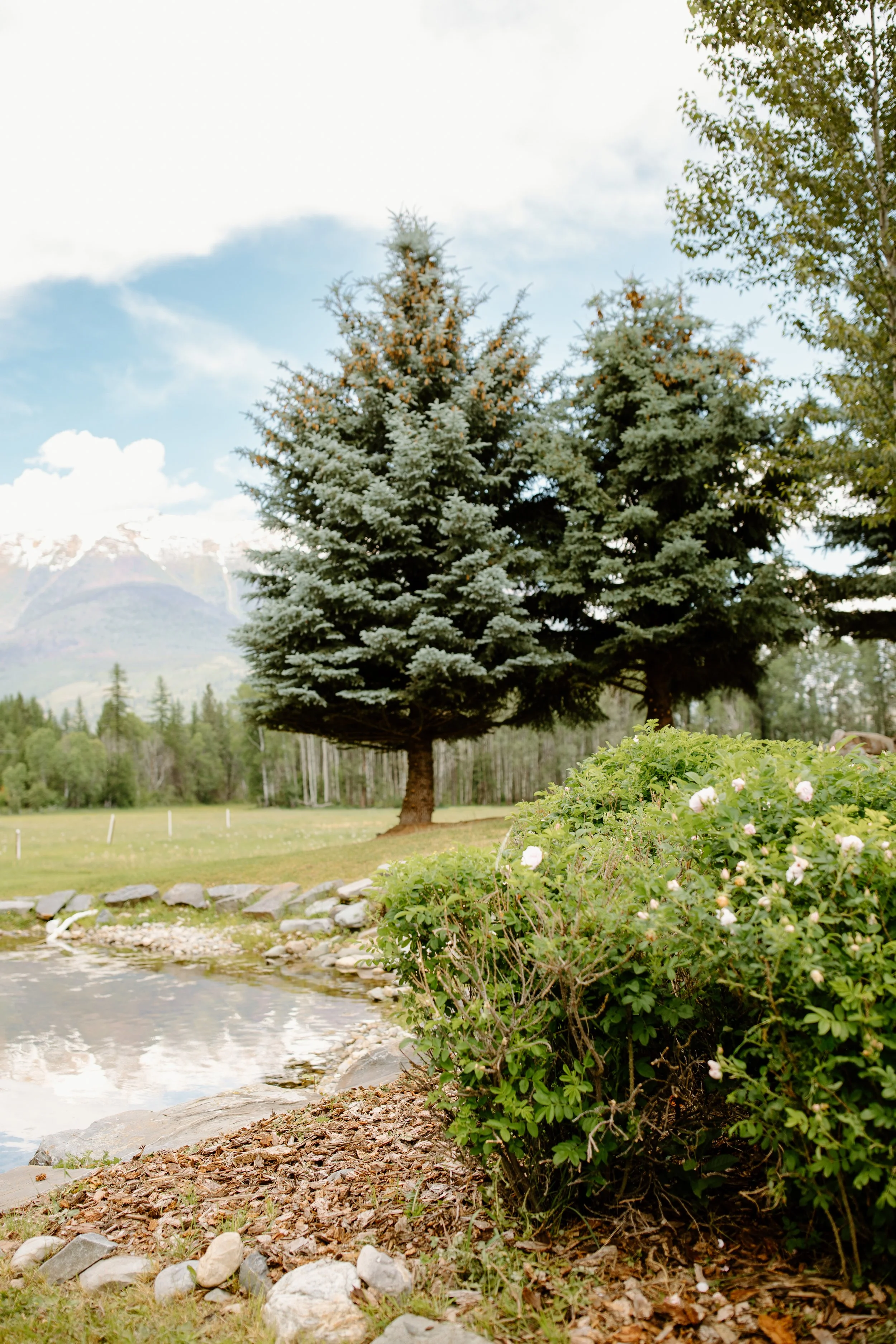 bull_river_guest_ranch_cranbrook_bc_the_hamiltons_wedding_photography-7.jpg