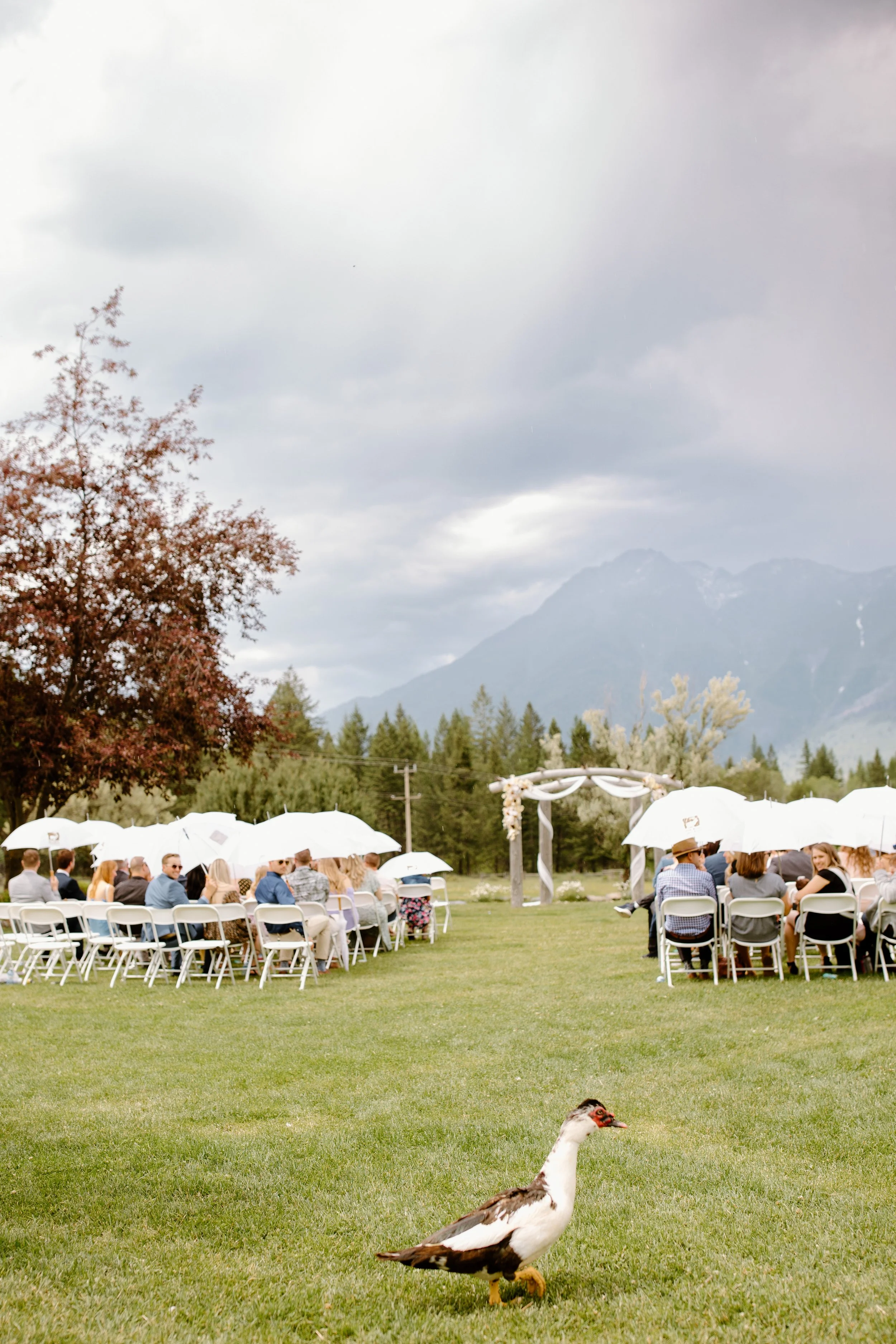 bull_river_guest_ranch_cranbrook_bc_the_hamiltons_wedding_photography-35.jpg