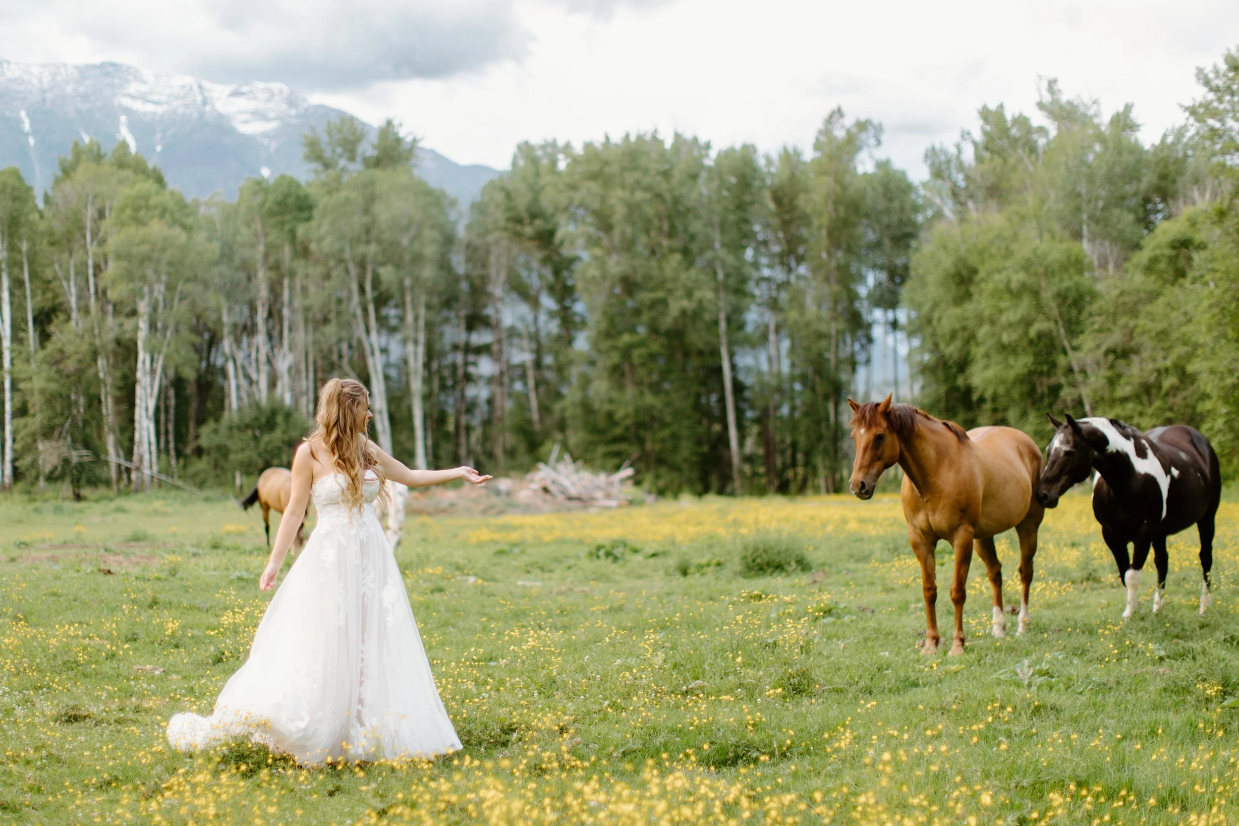 bull_river_guest_ranch_cranbrook_bc_the_hamiltons_wedding_photography-108.jpg
