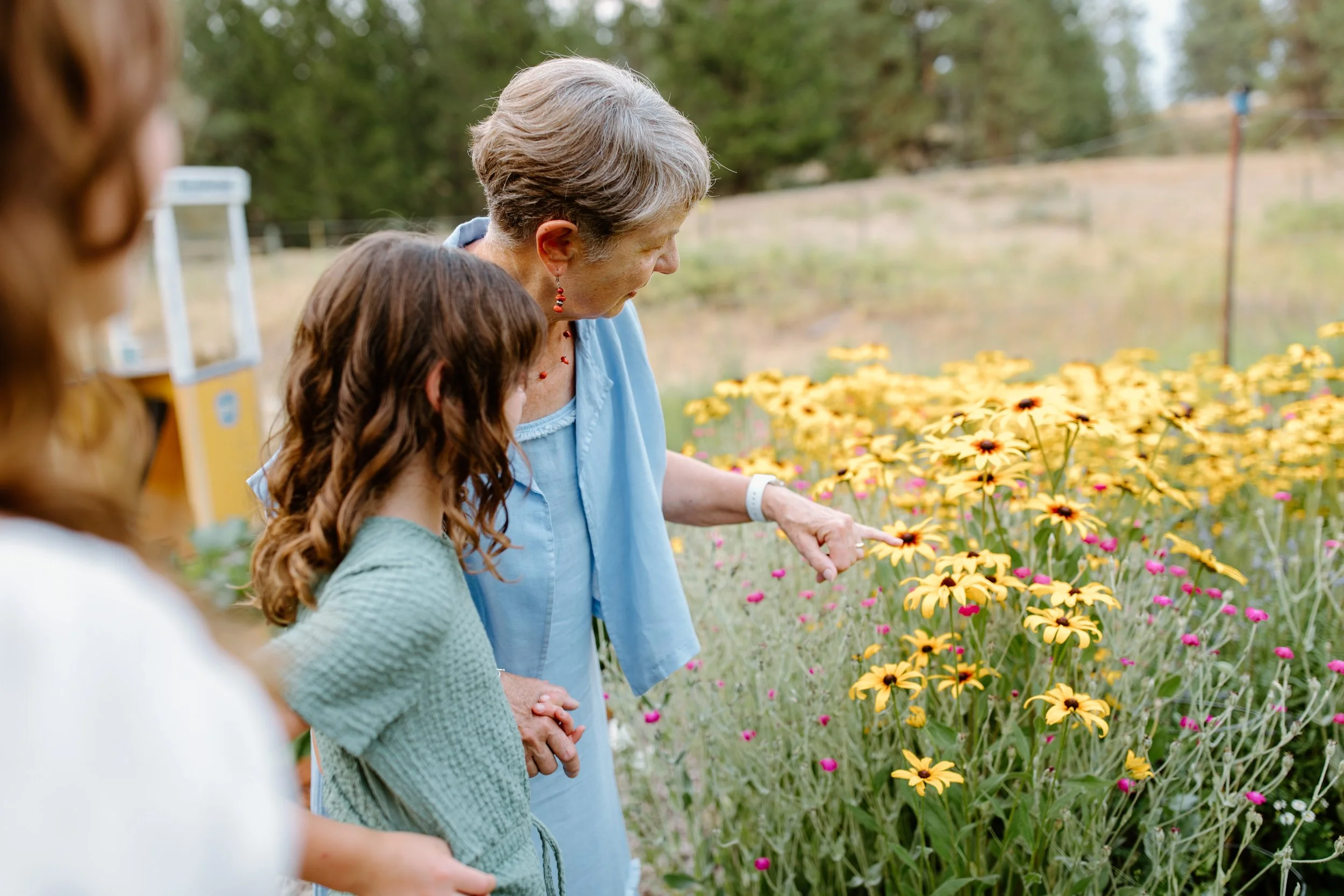 kimberley_bc_family_photo_photographer-3.jpg