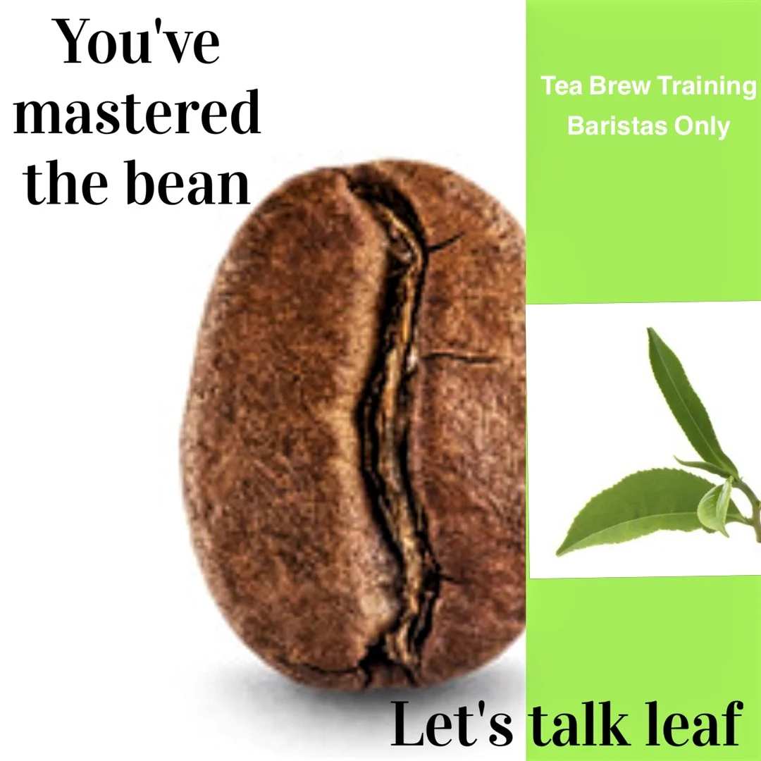 Barista Tea Training Online