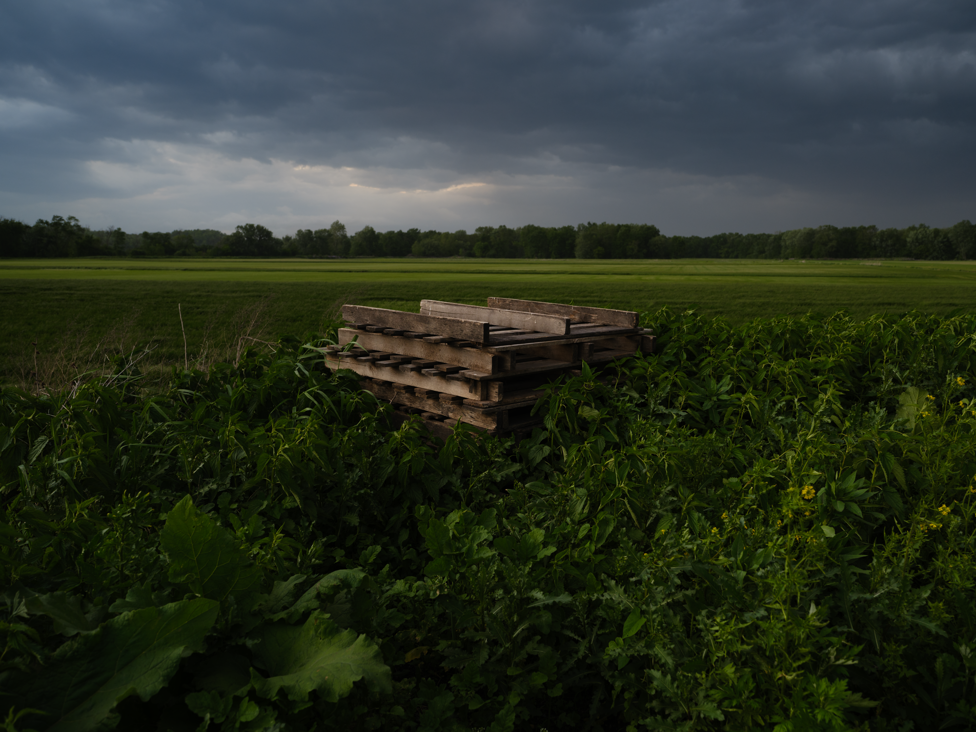 Pallets, Pine Island NY