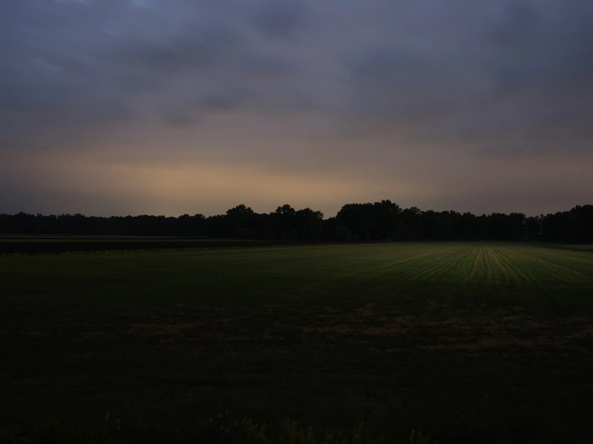 Sod farm at dusk, Pine Island NY 2025