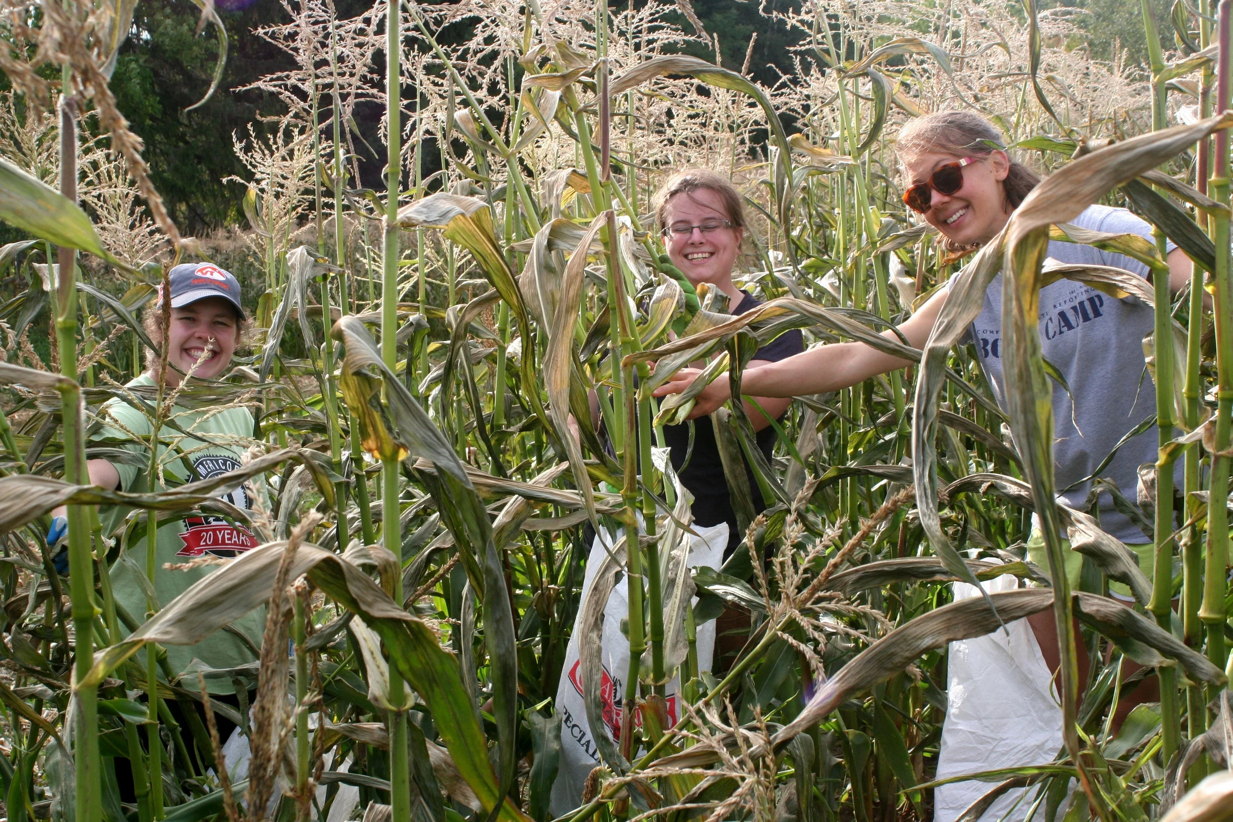 Everyone loves corn!
