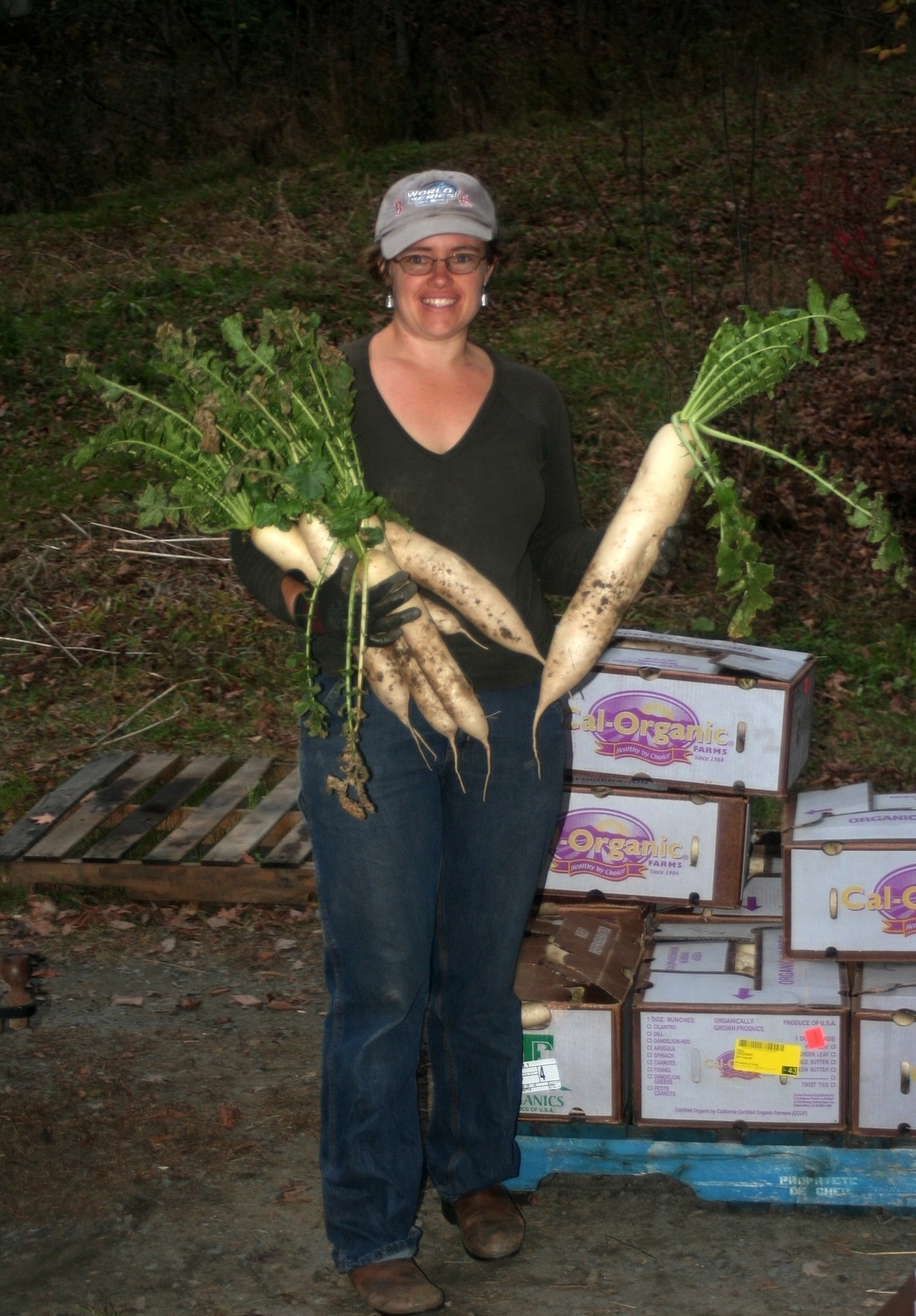 Lots of BIG Daikon