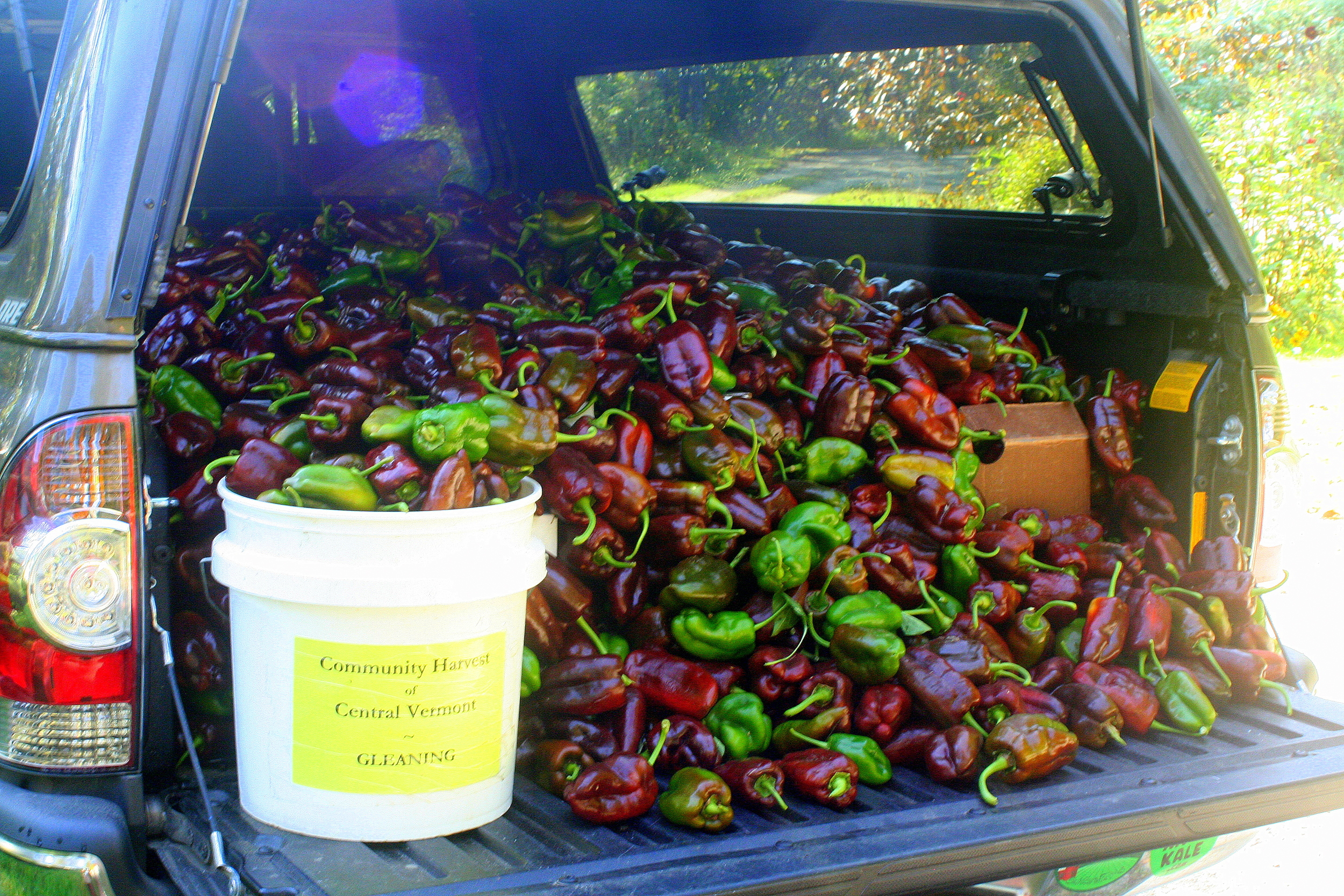 Sweet Chocolate Peppers