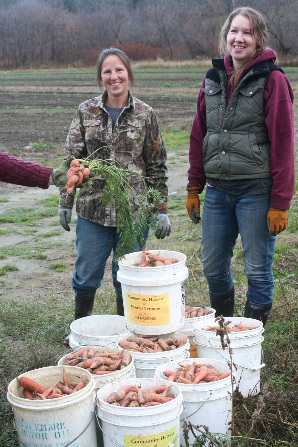 6 Gleaners & lots of Beautiful Carrots