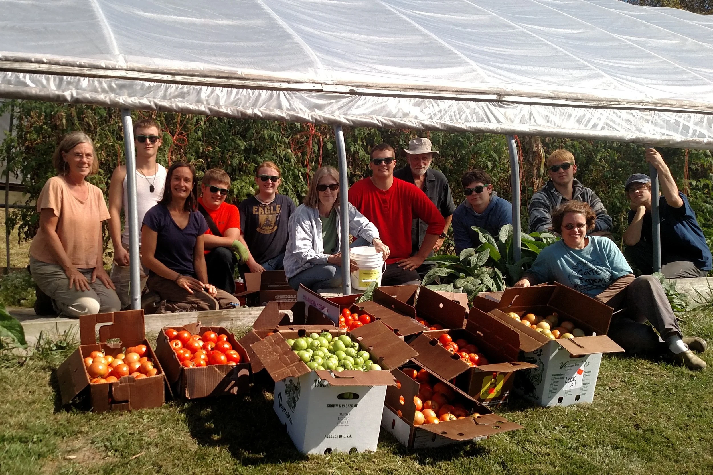 Another Big Tomato Glean