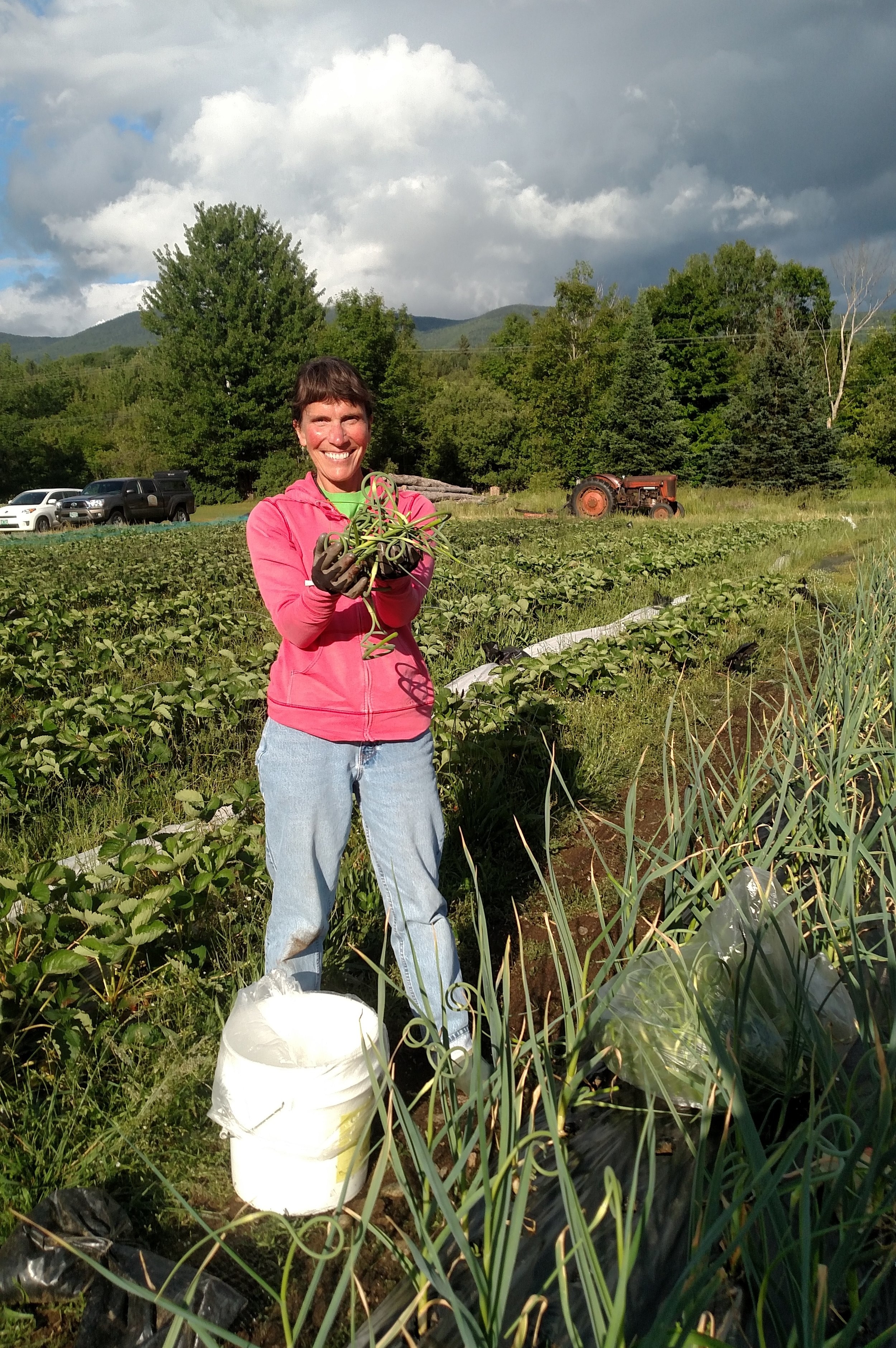 Gleaning garlic scapes sure is fun!