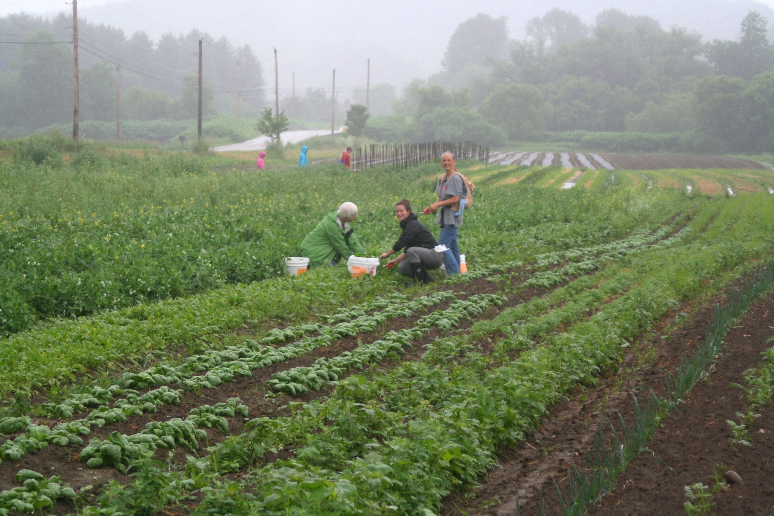 First 2014 Glean!