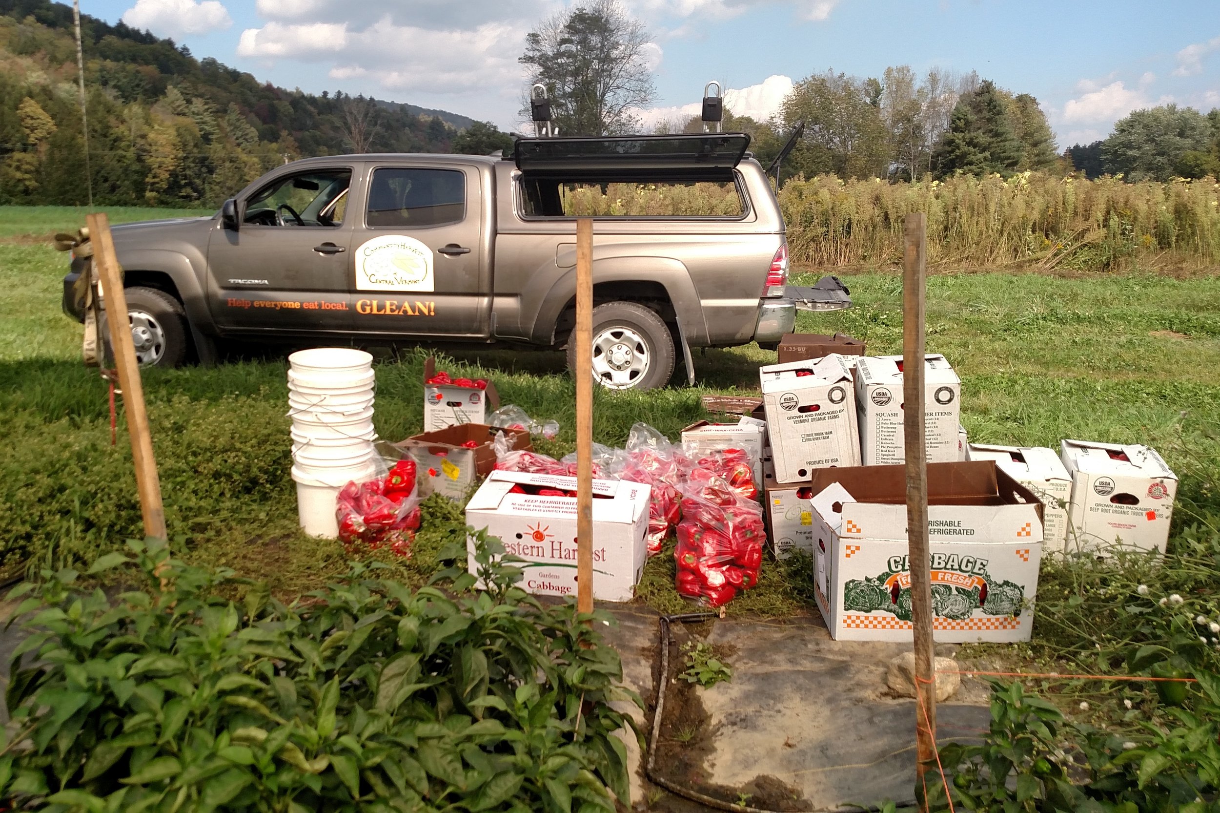 In 2017 the gleaning truck got a little fancier