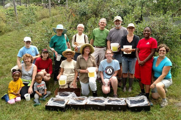 300 pounds of Blueberries gleaned in 2018