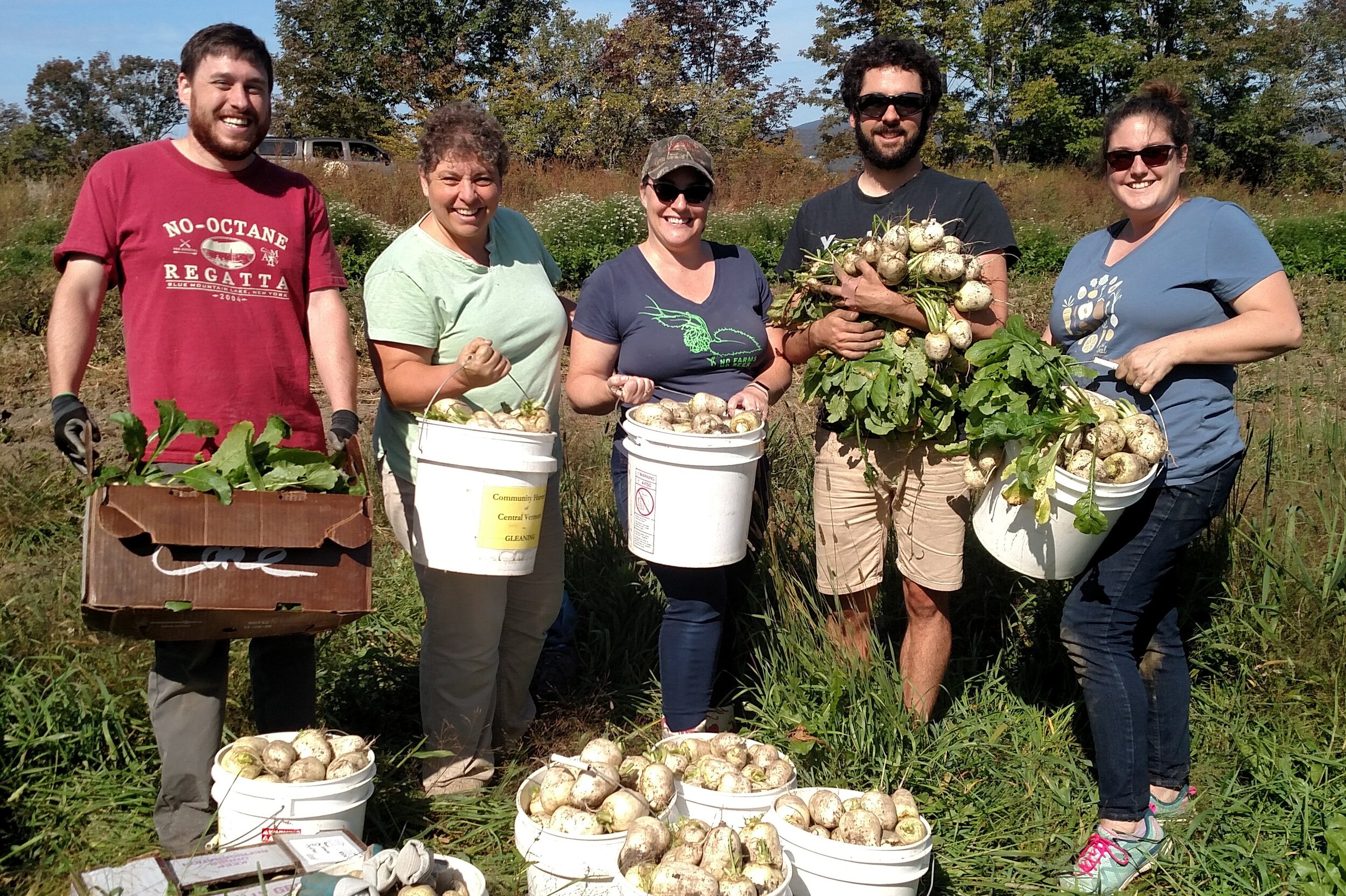 Gleaning on Climate Action Day