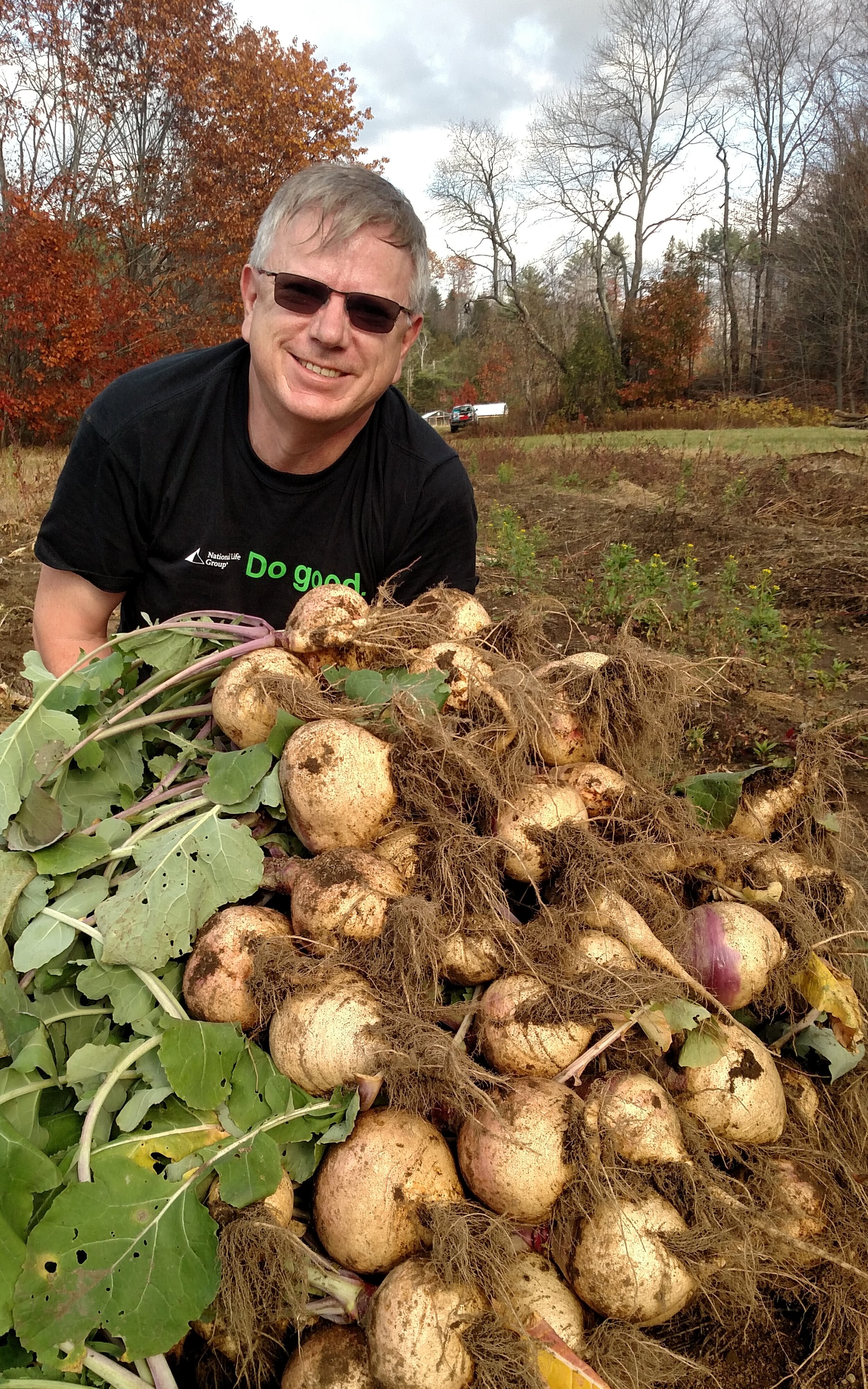 A Mountain of Rutabaga