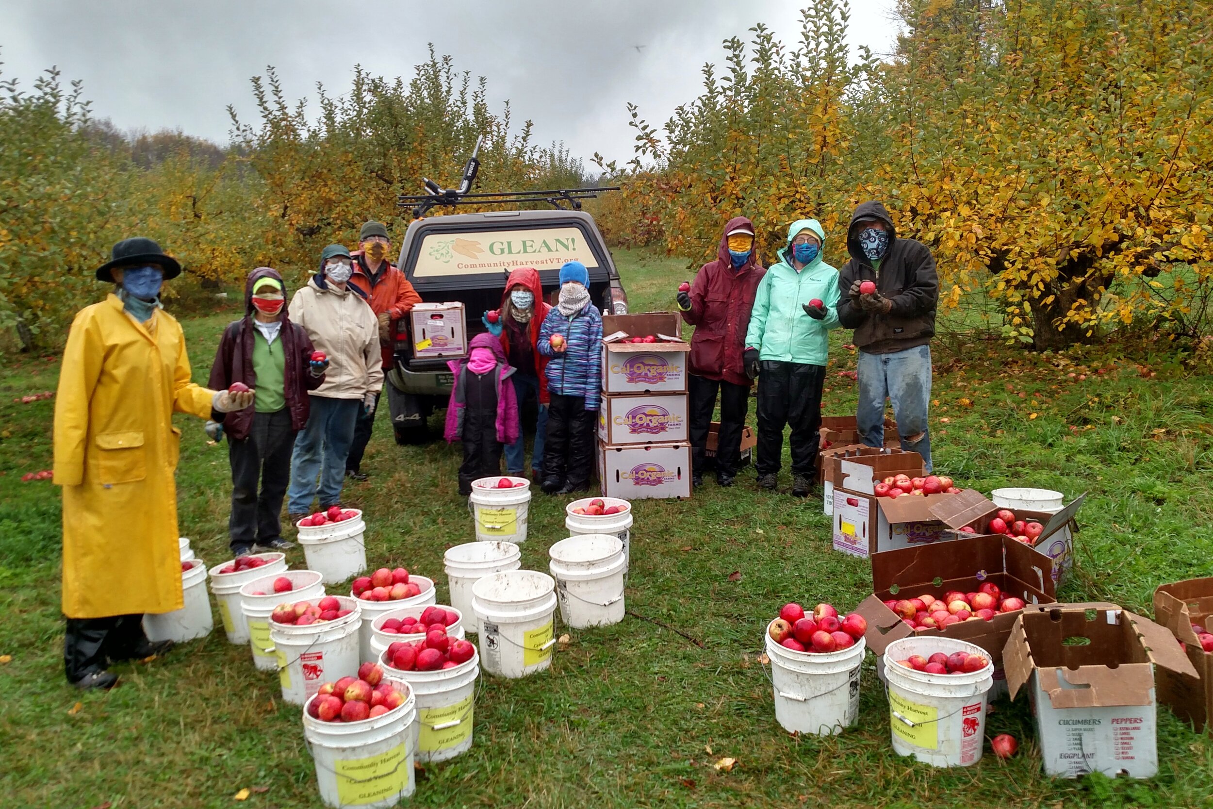 The rain and cold can't keep them away!