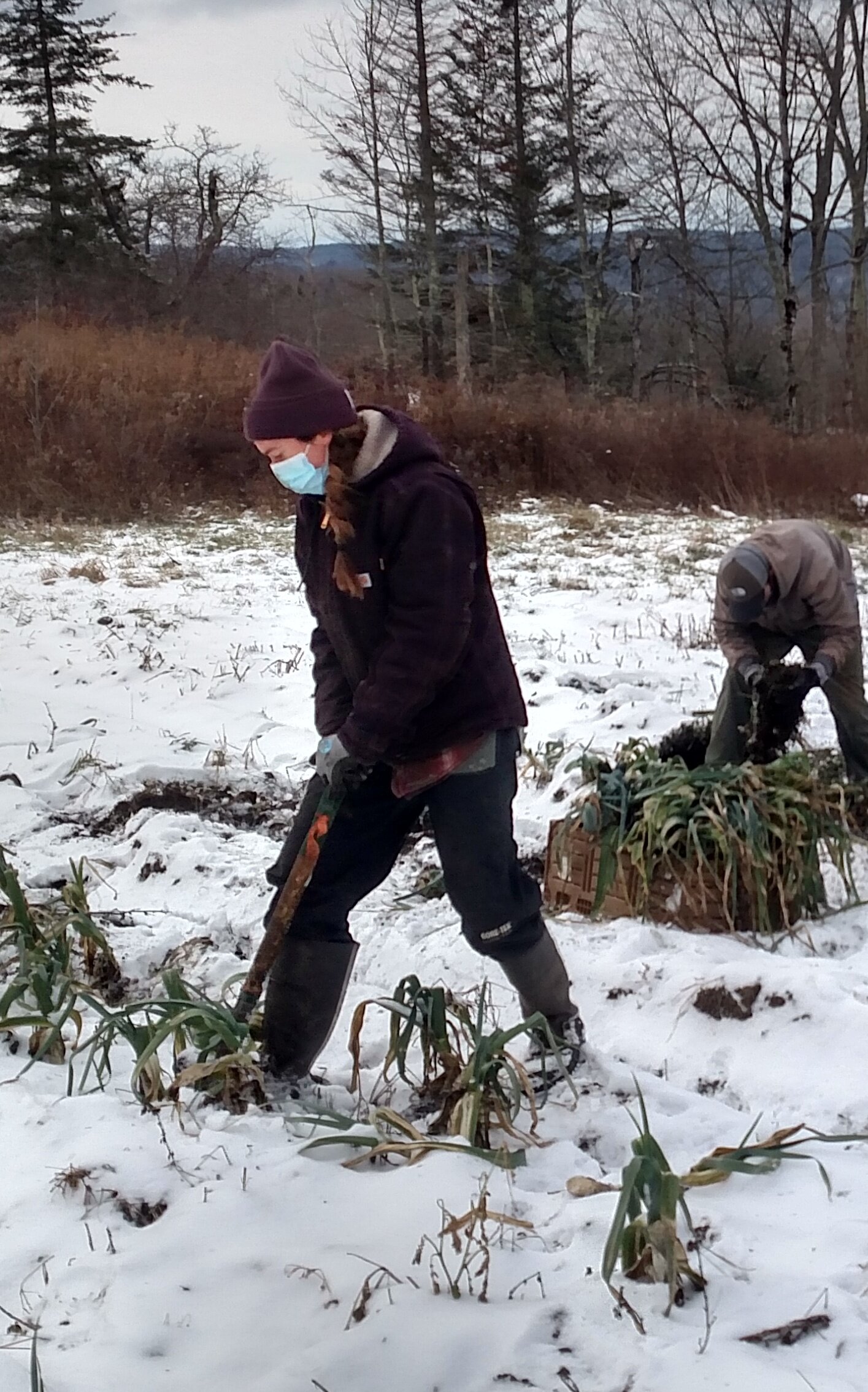 What an introduction to gleaning!