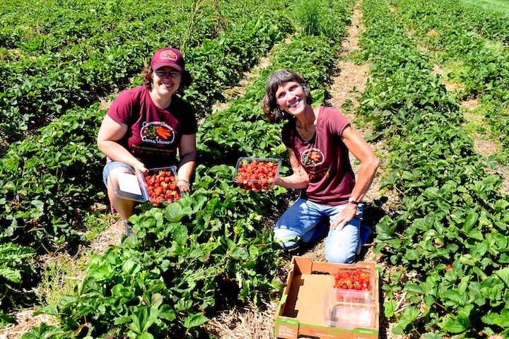 Community Harvest in field Small.jpeg