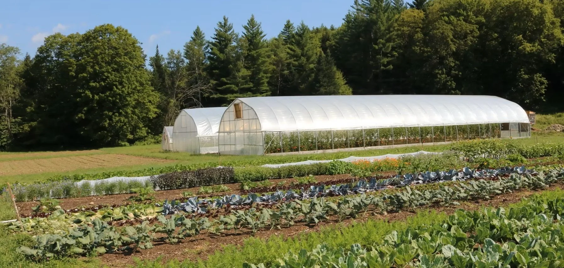 AG farm piccrop.jpg